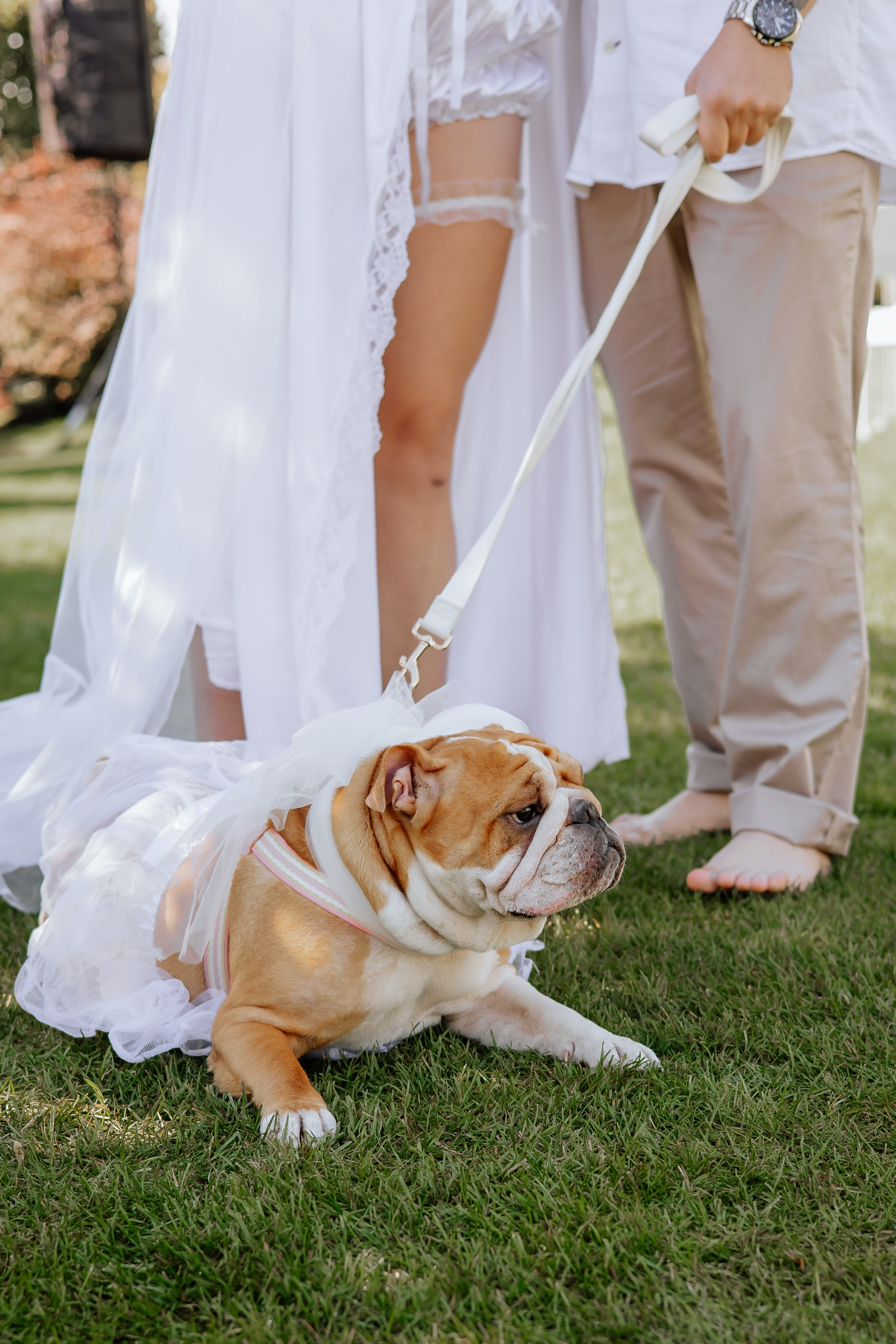 Wedding A & K. Фотограф — видеограф г. Днепр Марина Еременко