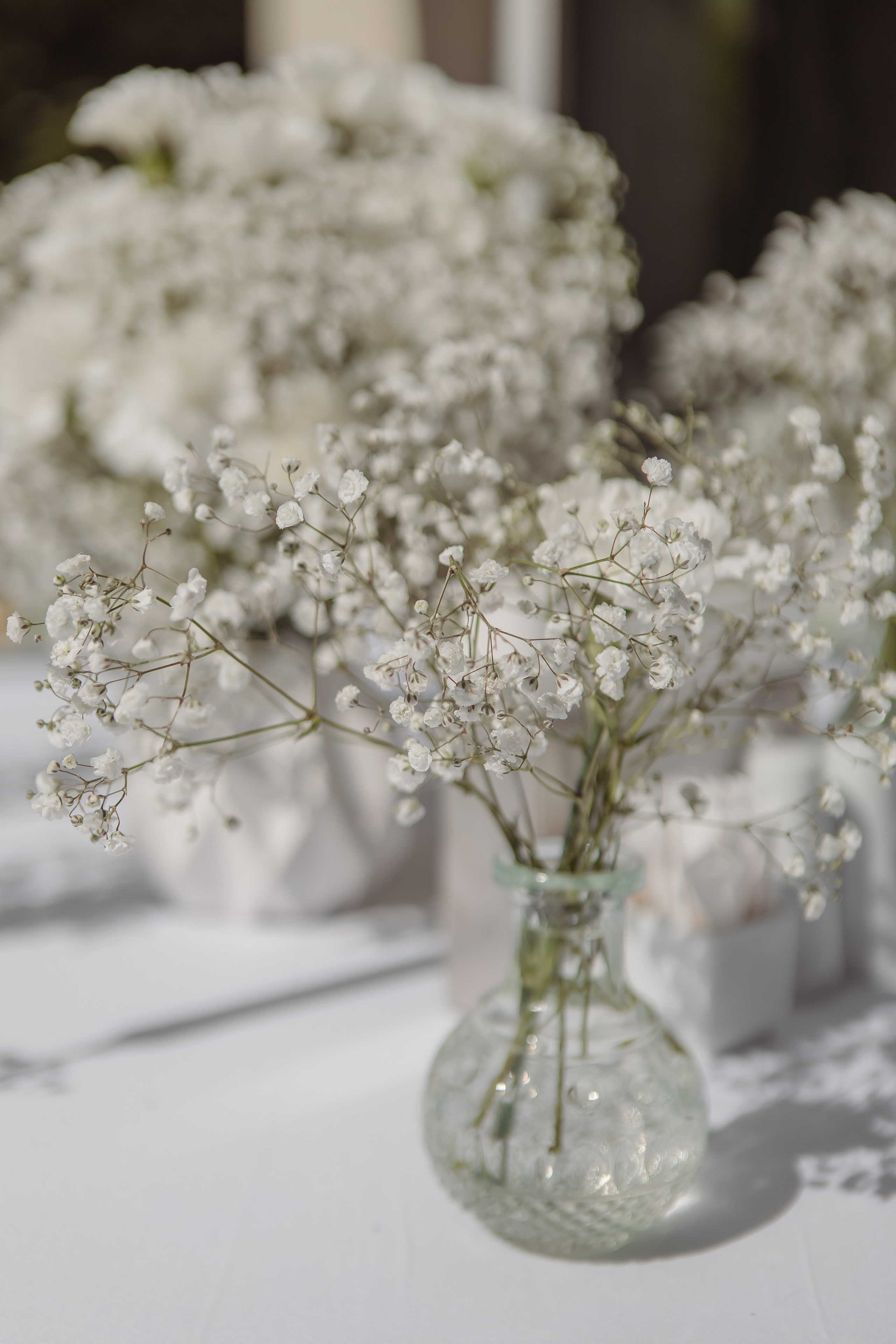 Санрей. Фотограф — видеограф г. Днепр Марина Еременко