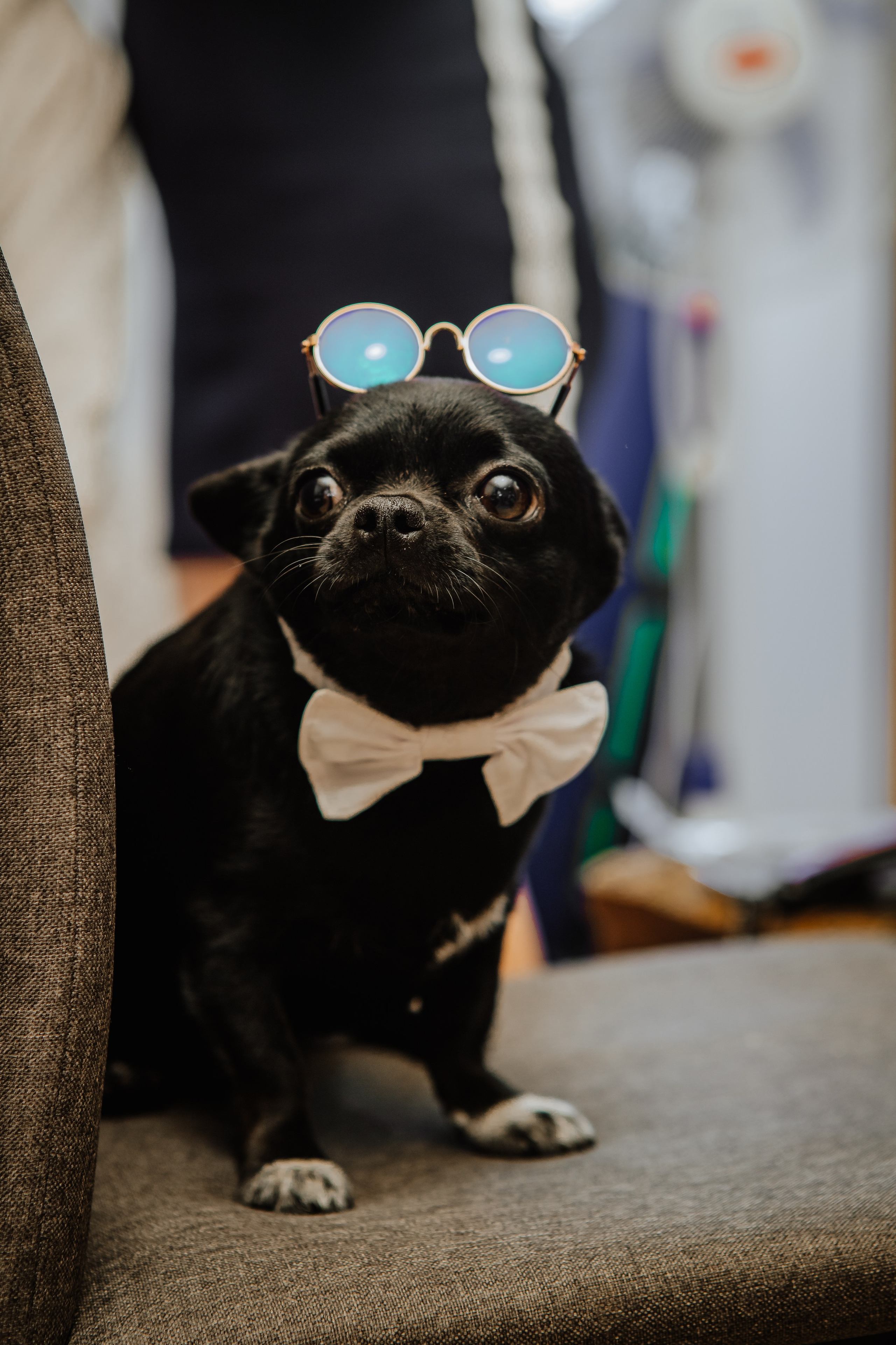 Свадебная история Елены и Влада. Фотограф — видеограф г. Днепр Марина Еременко