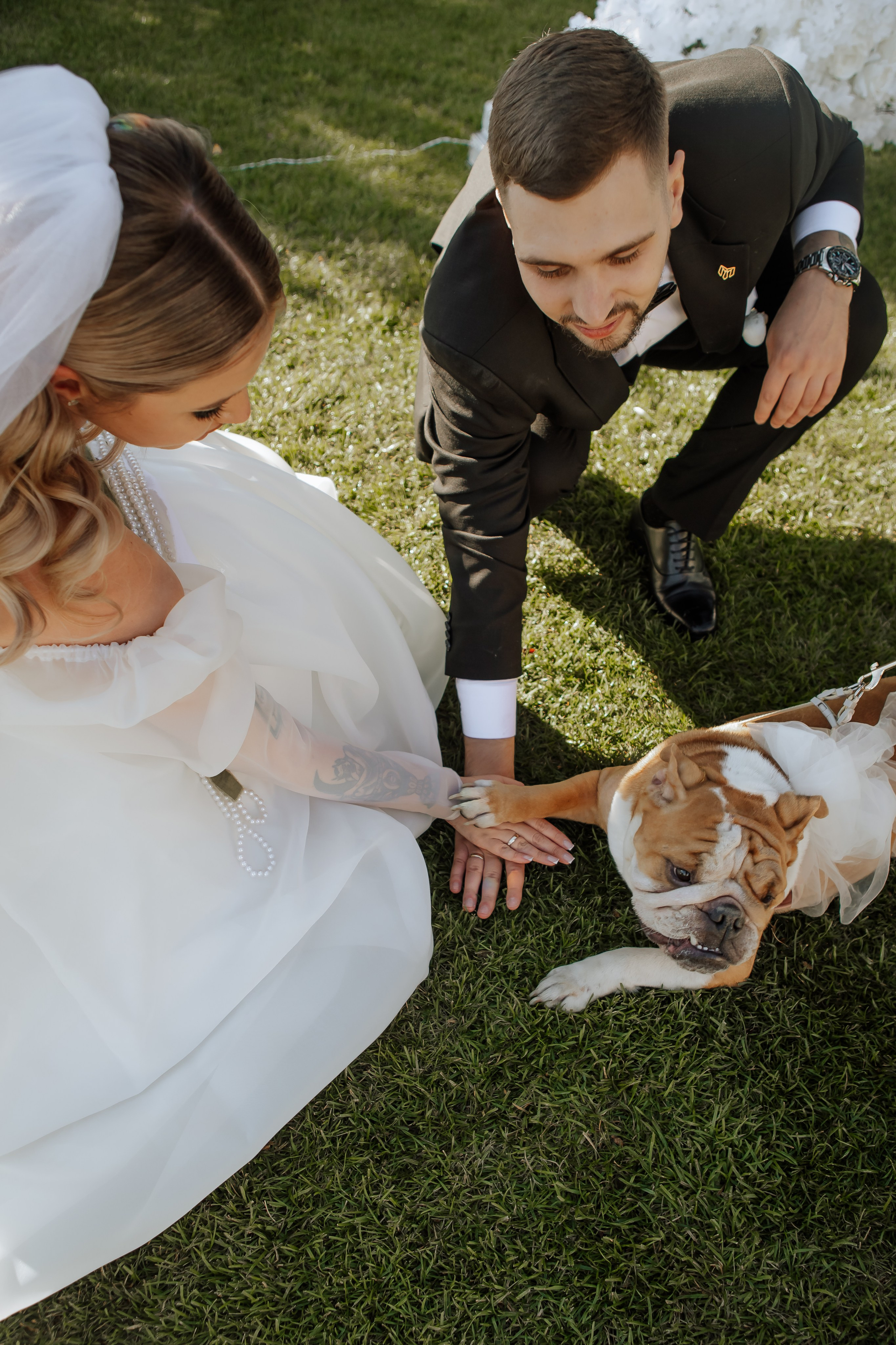 Wedding A & K. Фотограф — видеограф г. Днепр Марина Еременко