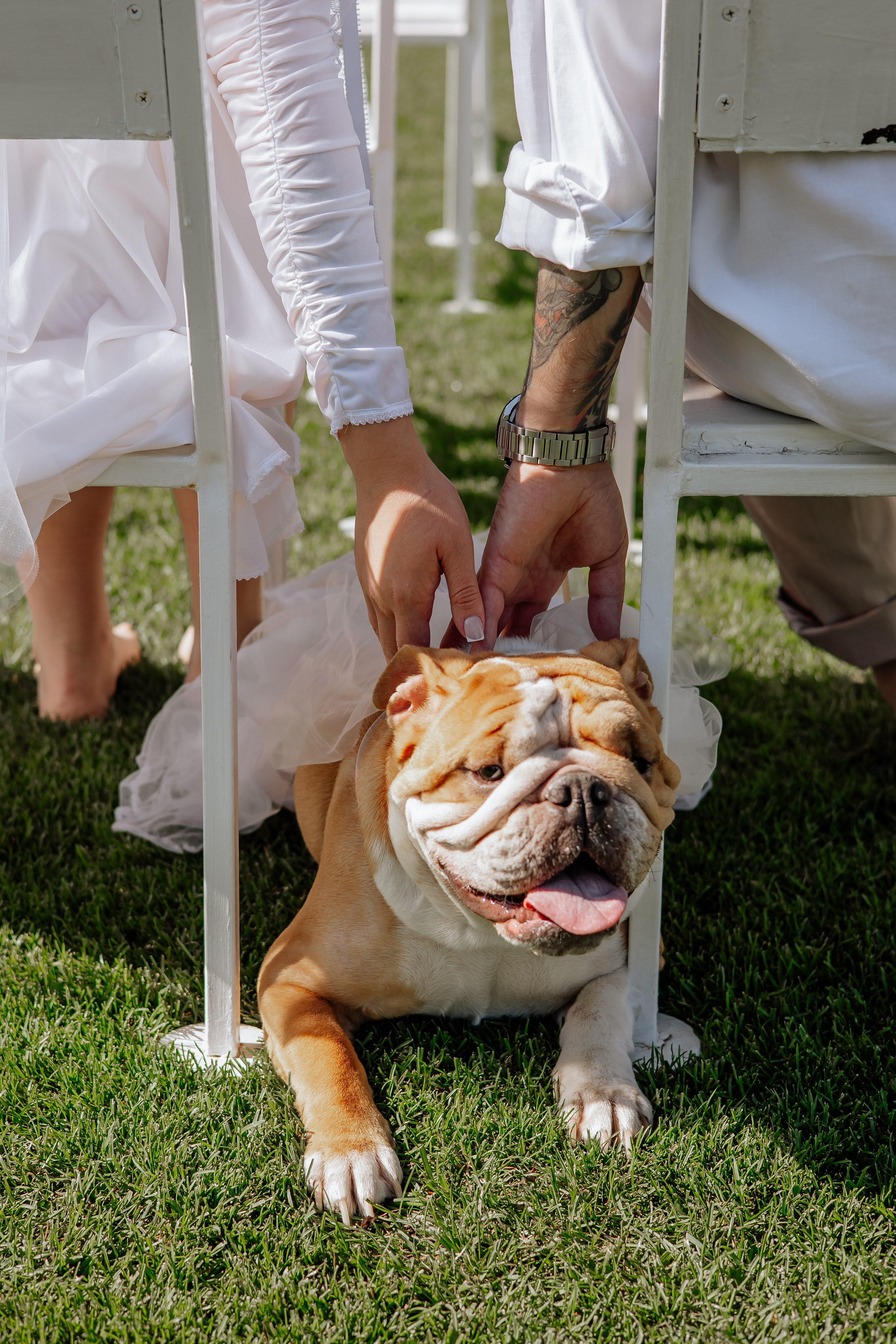 Wedding A & K. Фотограф — видеограф г. Днепр Марина Еременко