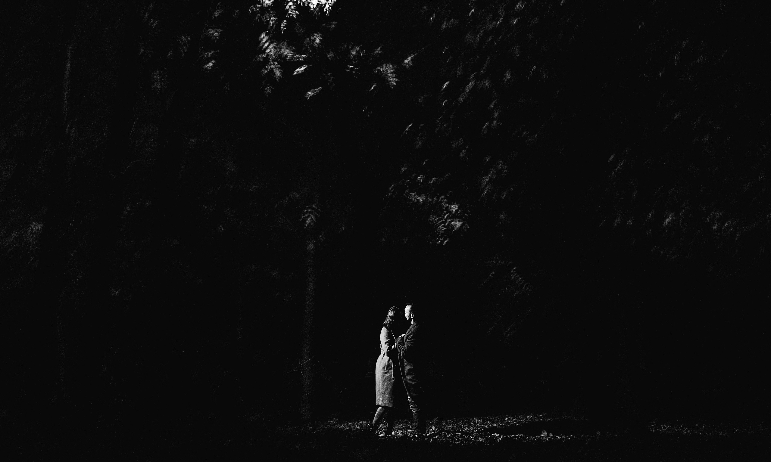 Autumn colors. Антон лімов фотограф київ