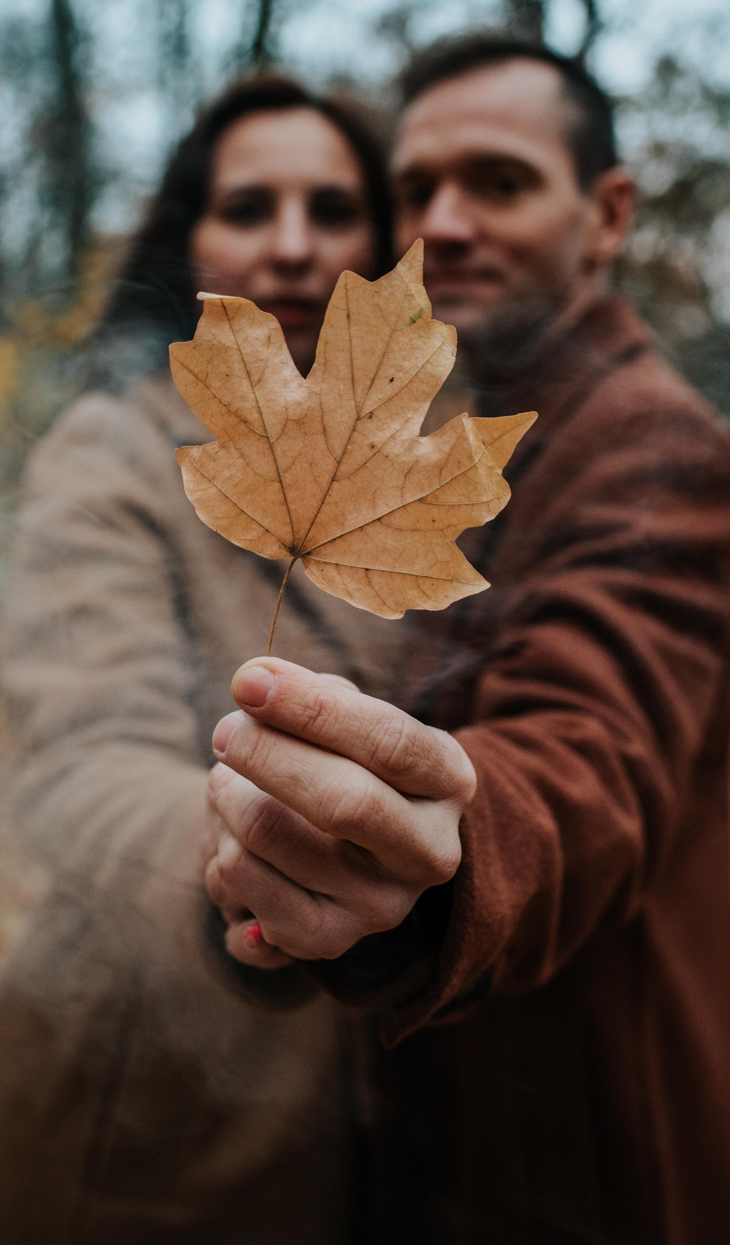 Autumn colors. Антон лімов фотограф київ