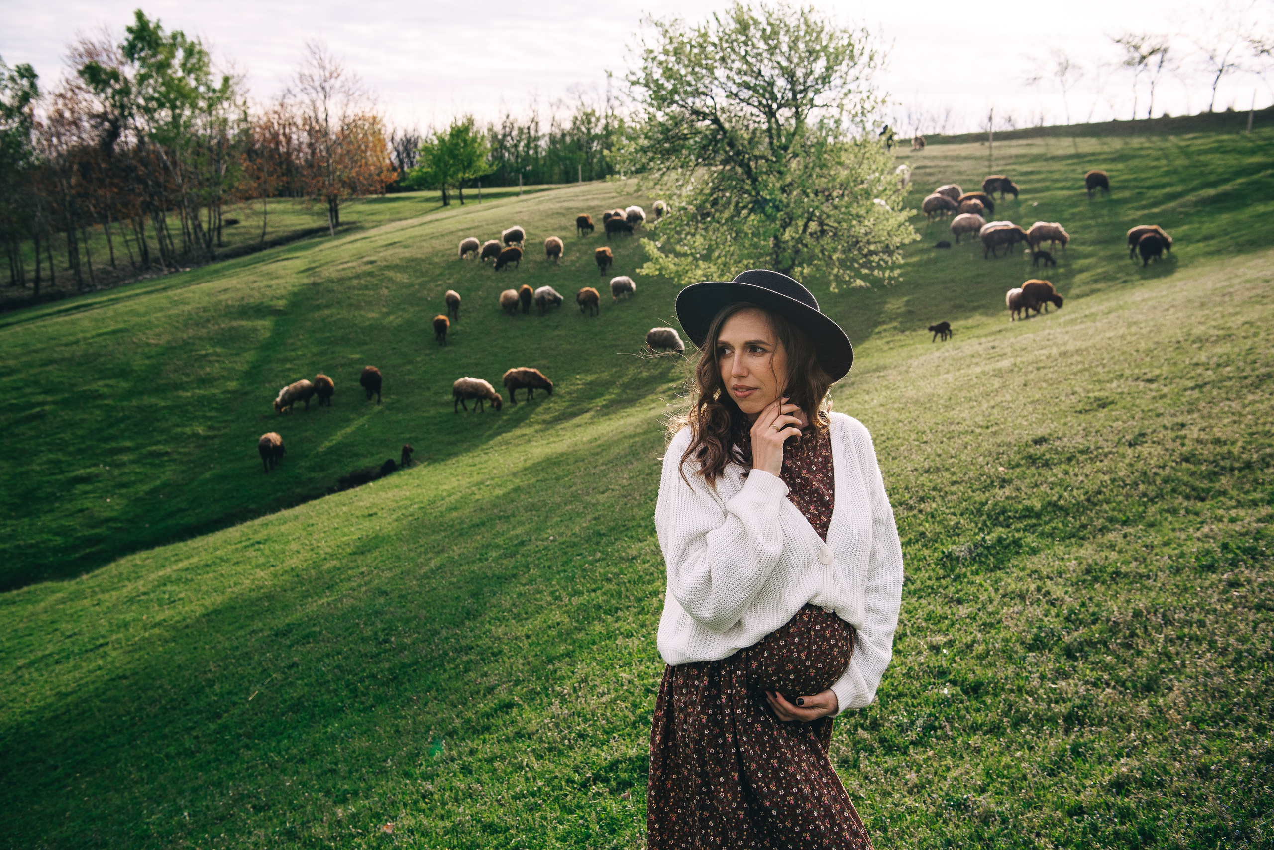Sheepland. Антон лімов фотограф київ