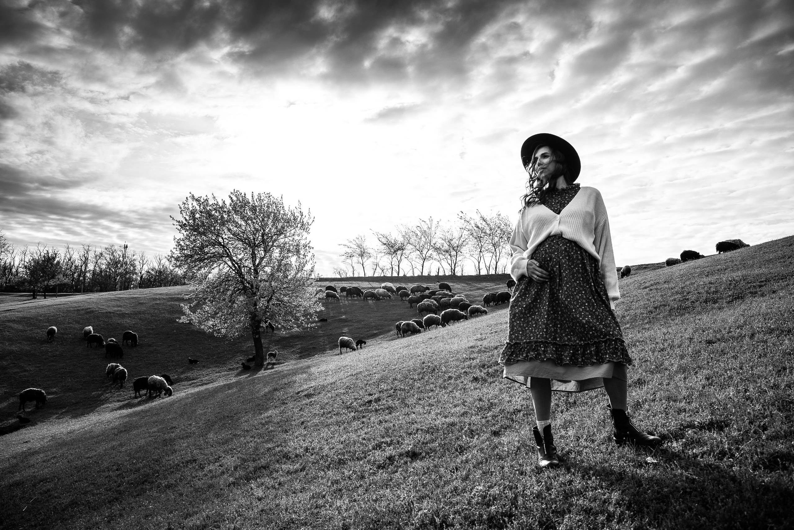 Sheepland. Антон лімов фотограф київ
