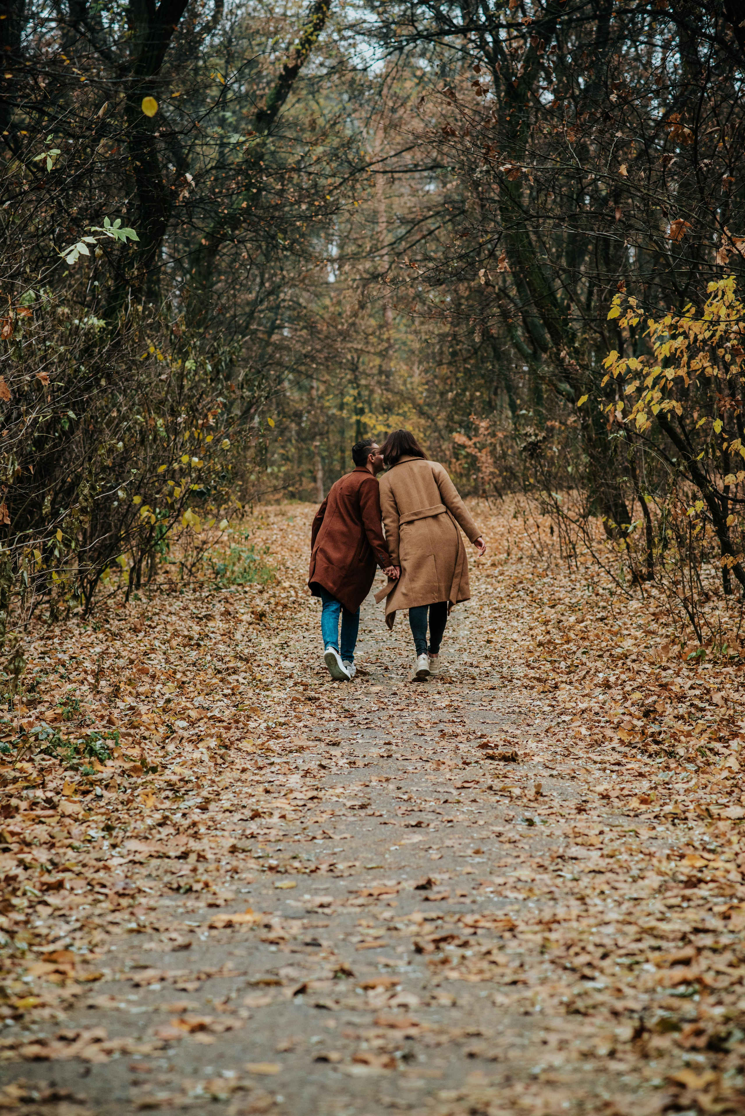 Autumn colors. Антон лімов фотограф київ