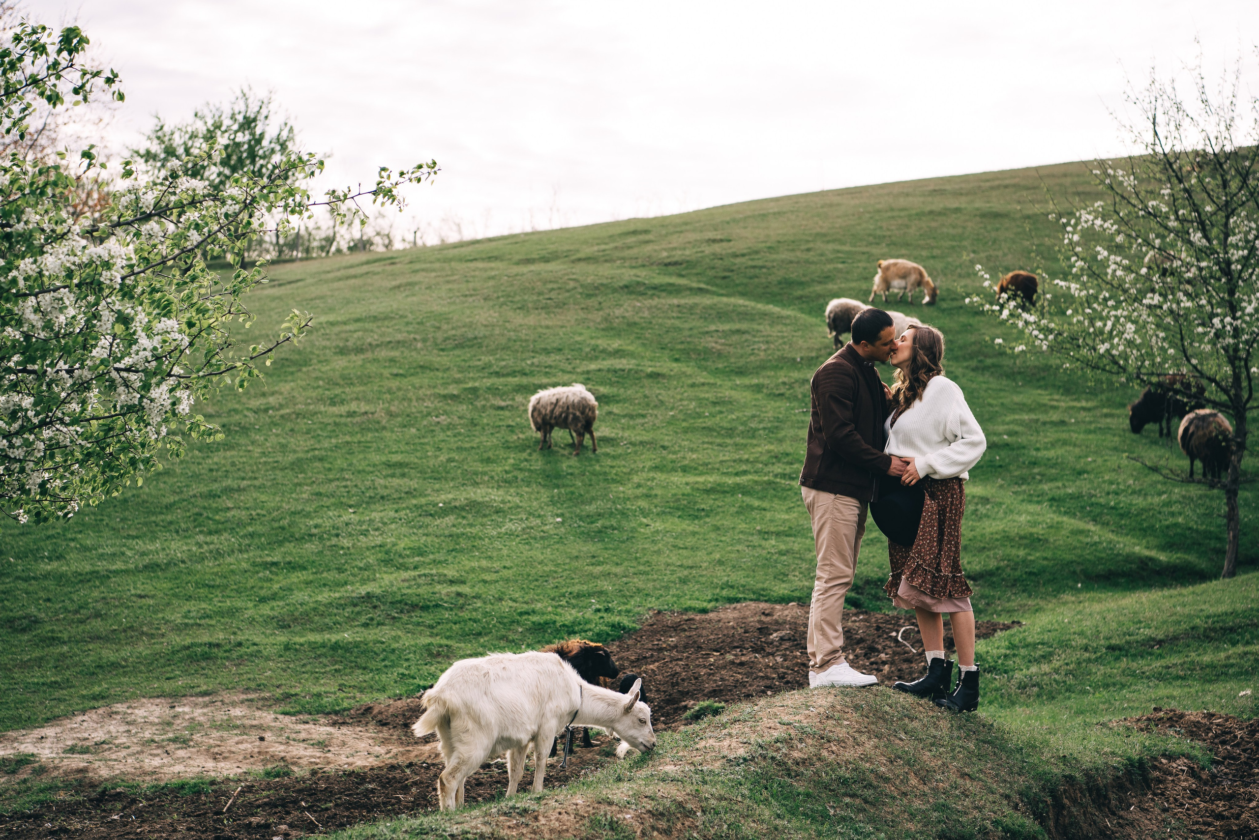 Sheepland. Антон лімов фотограф київ