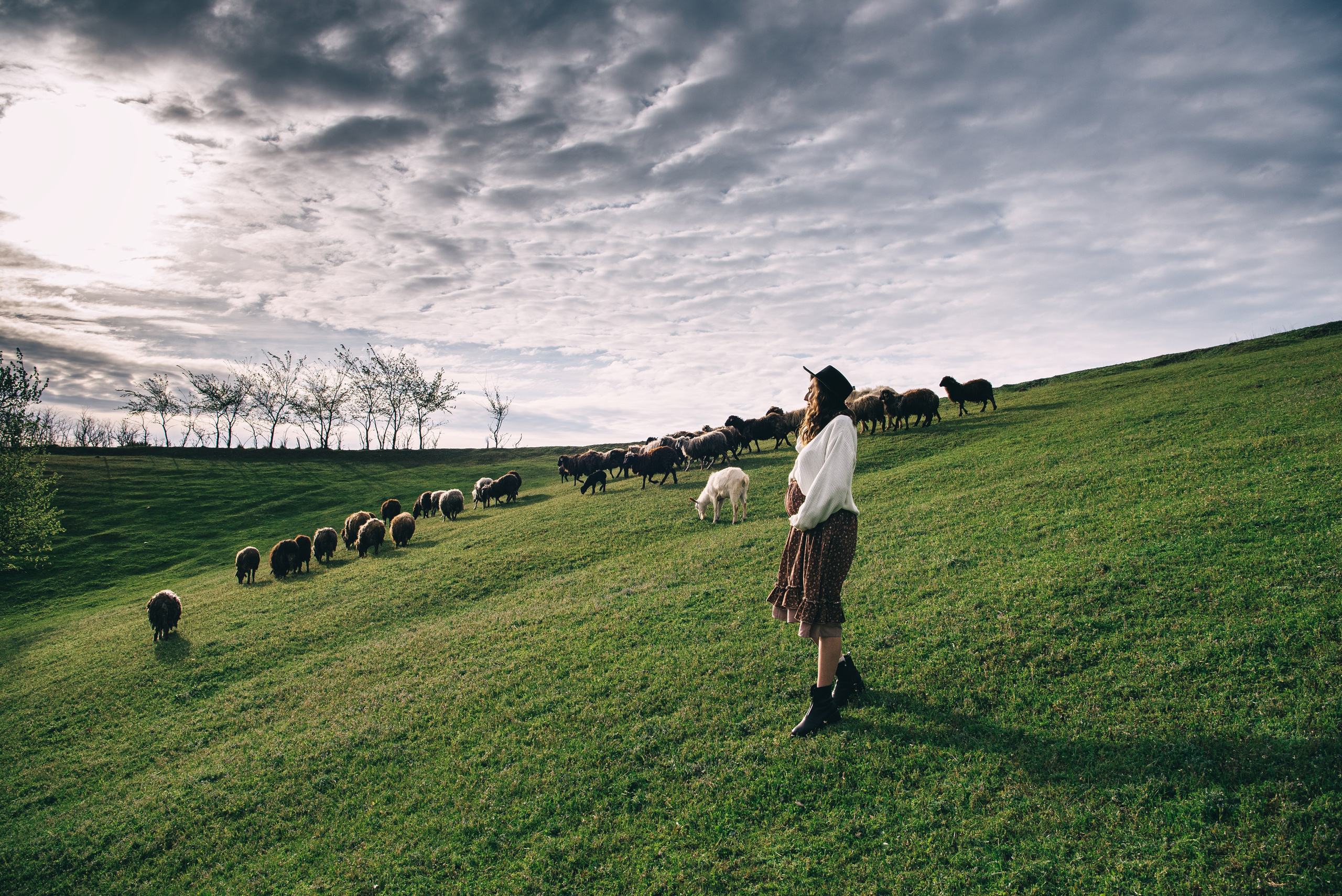 Sheepland. Антон лімов фотограф київ