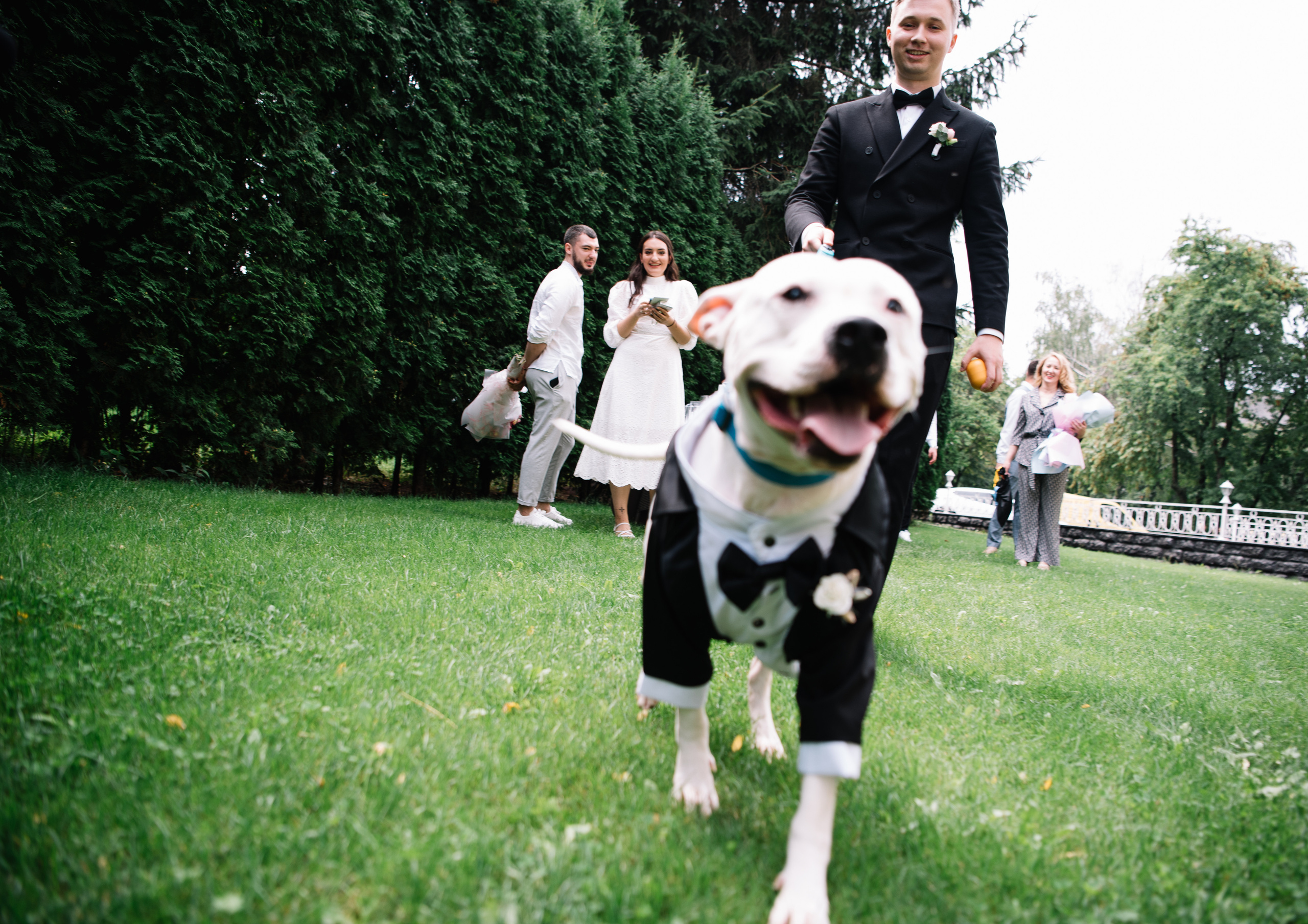 Wedding day. Антон лімов фотограф київ