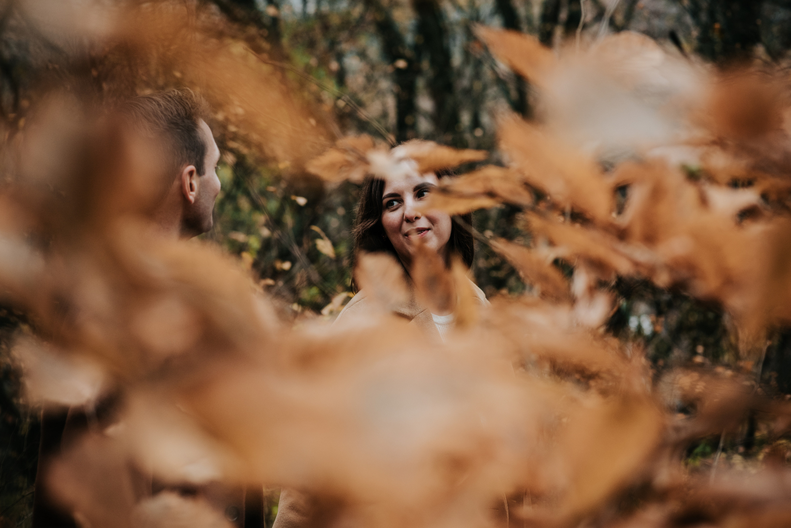 Autumn colors. Антон лімов фотограф київ