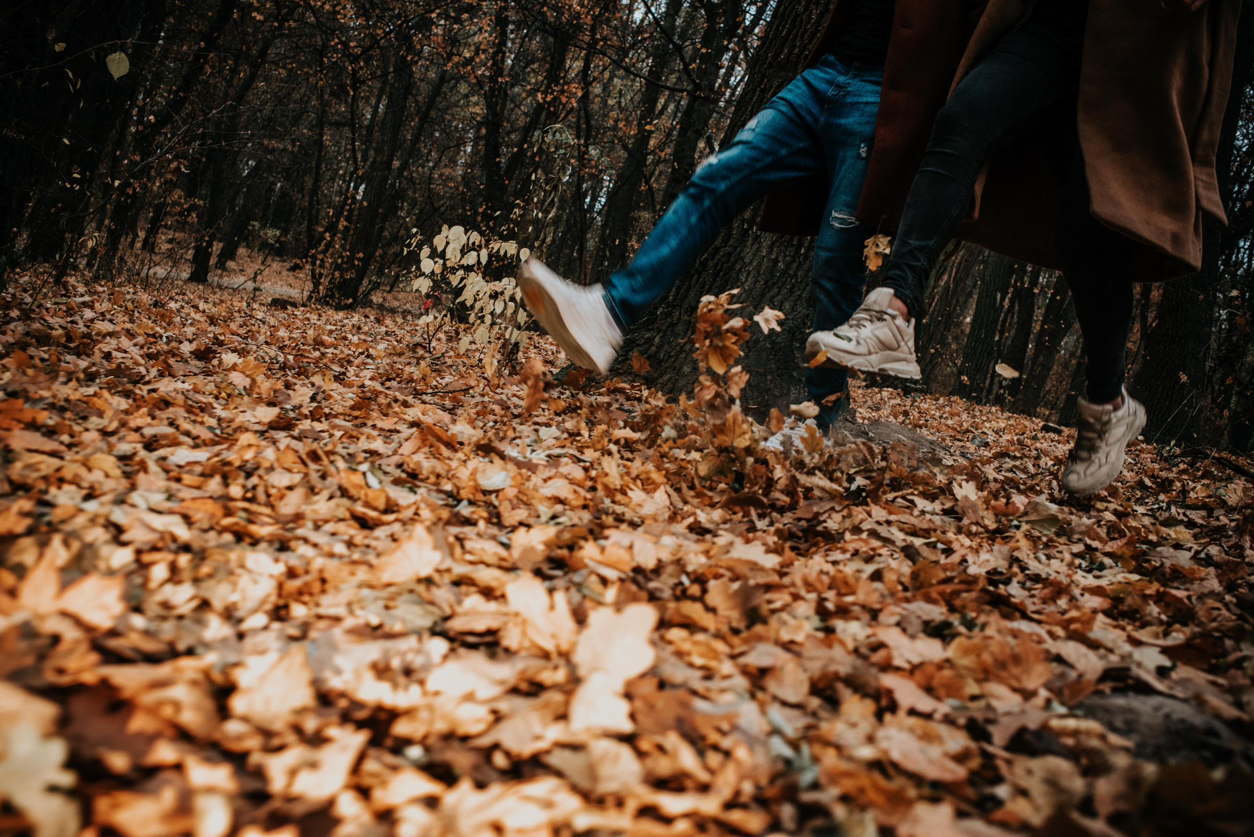 Autumn colors. Антон лімов фотограф київ
