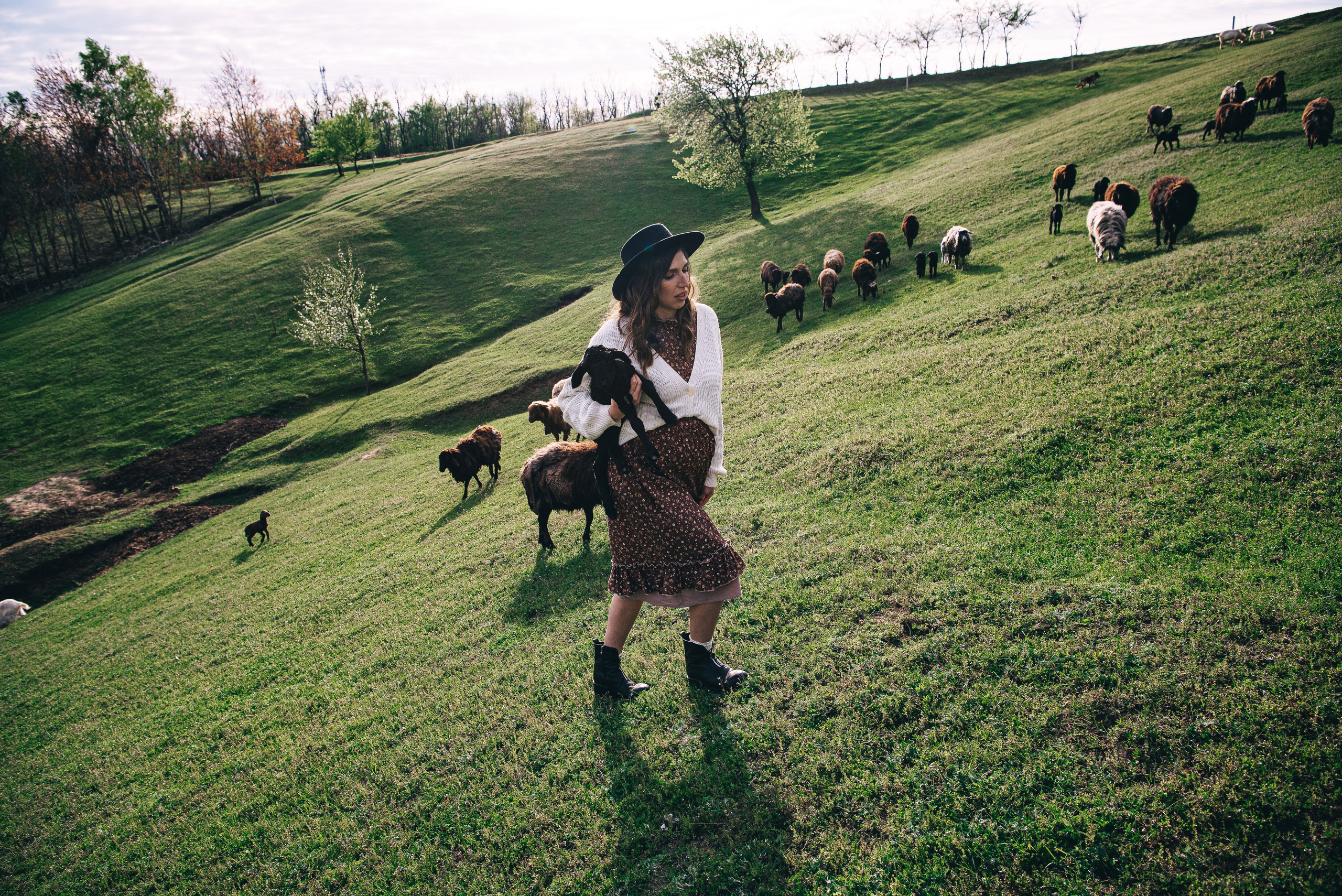 Sheepland. Антон лімов фотограф київ
