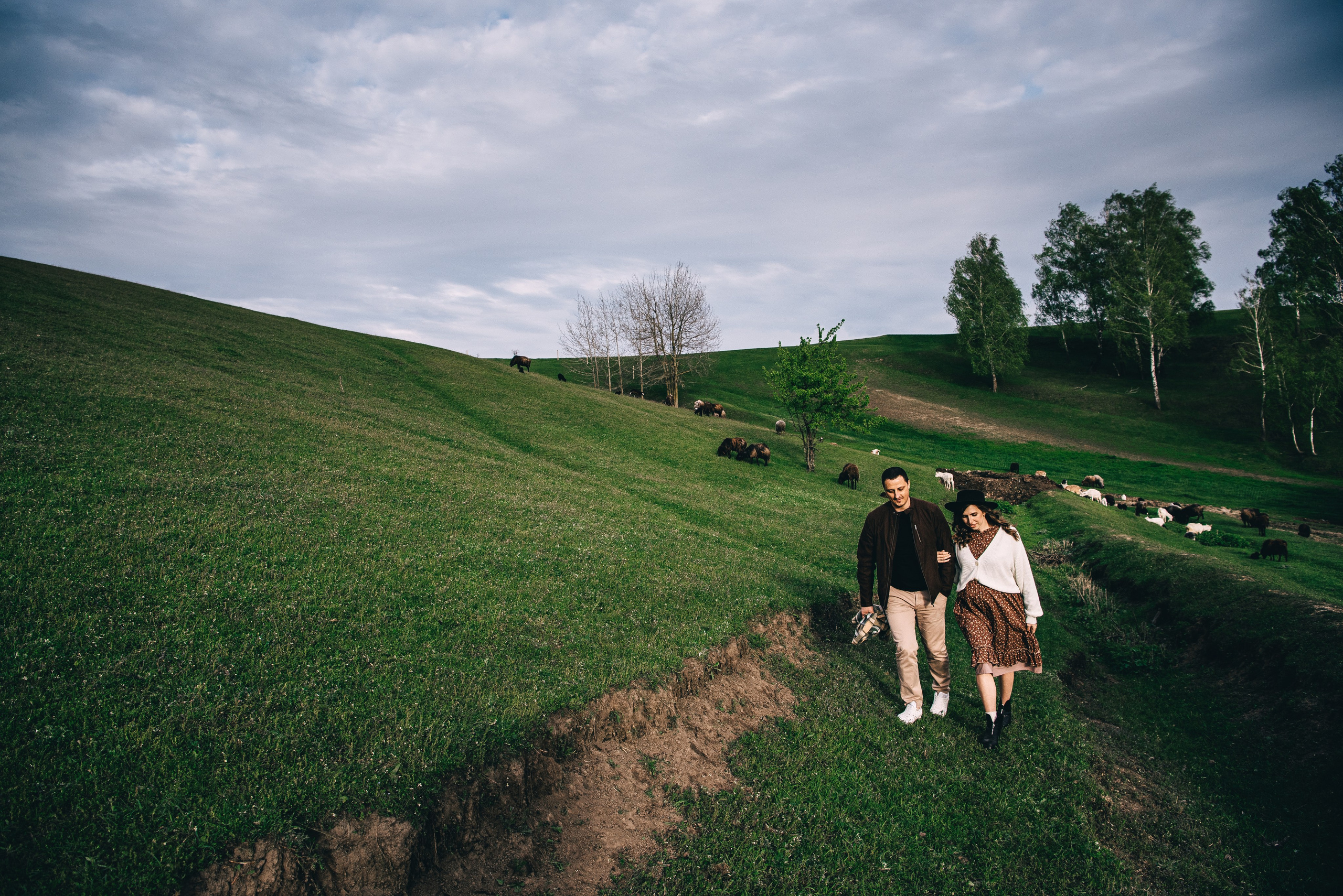 Sheepland. Антон лімов фотограф київ