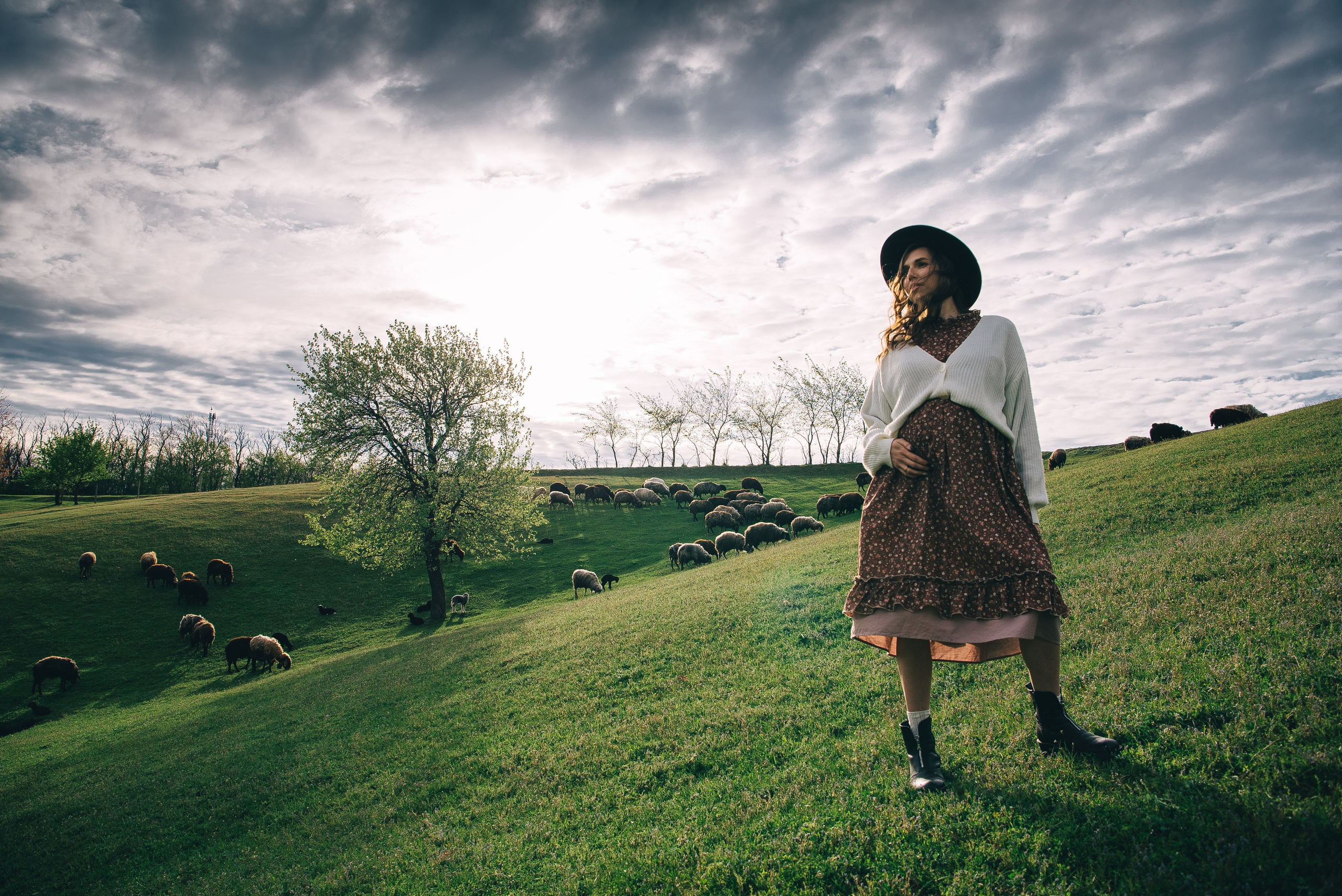 Sheepland. Антон лімов фотограф київ