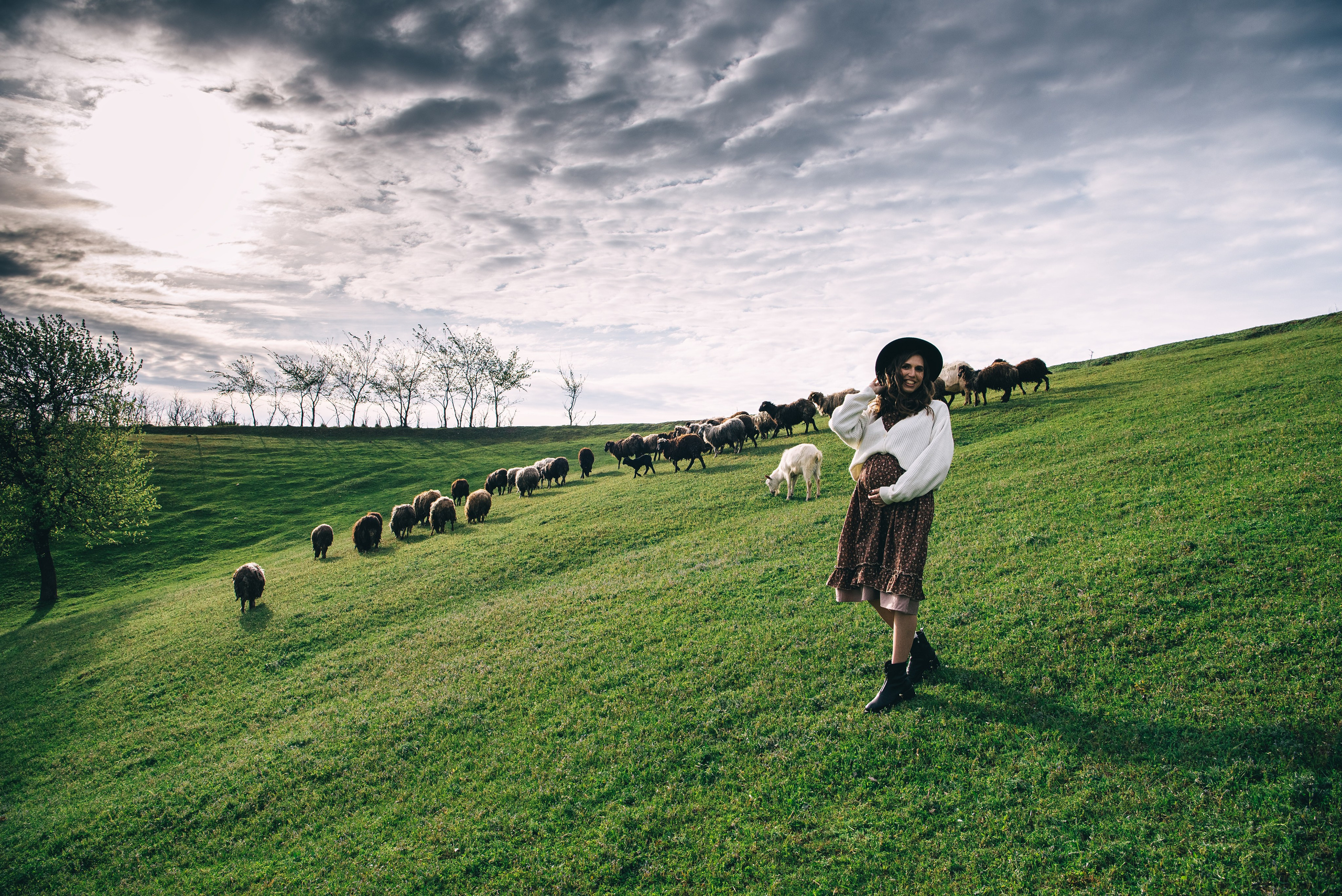 Sheepland. Антон лімов фотограф київ