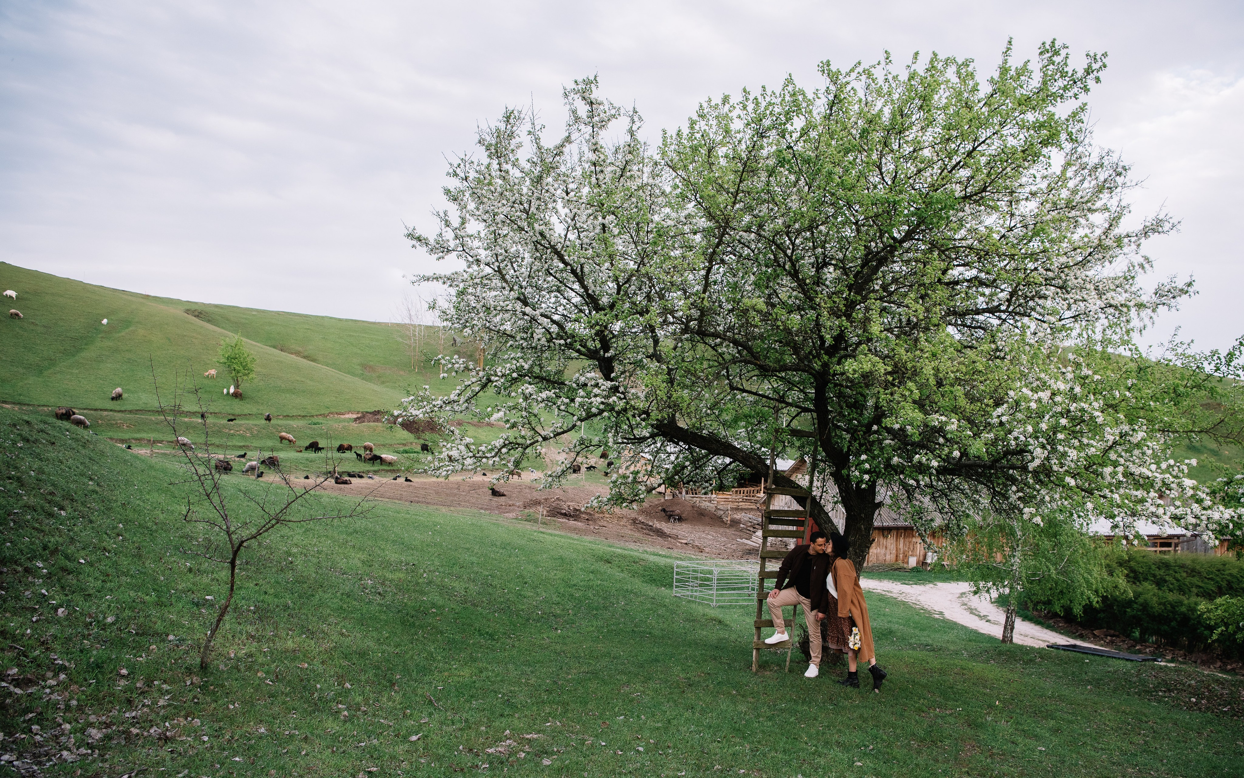 Sheepland. Антон лімов фотограф київ
