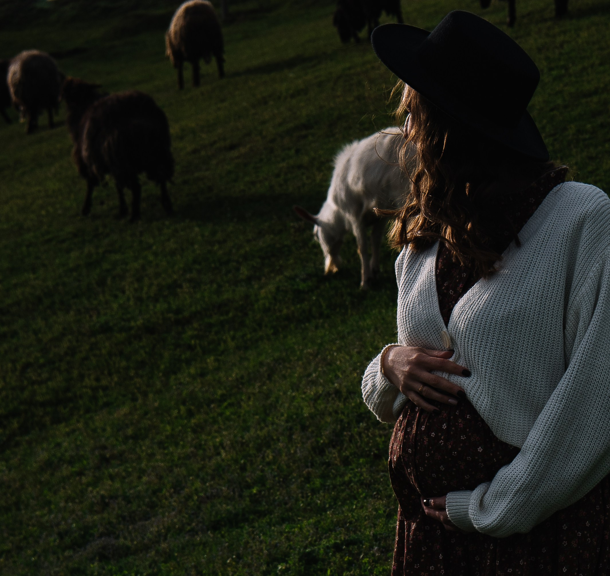Sheepland. Антон лімов фотограф київ