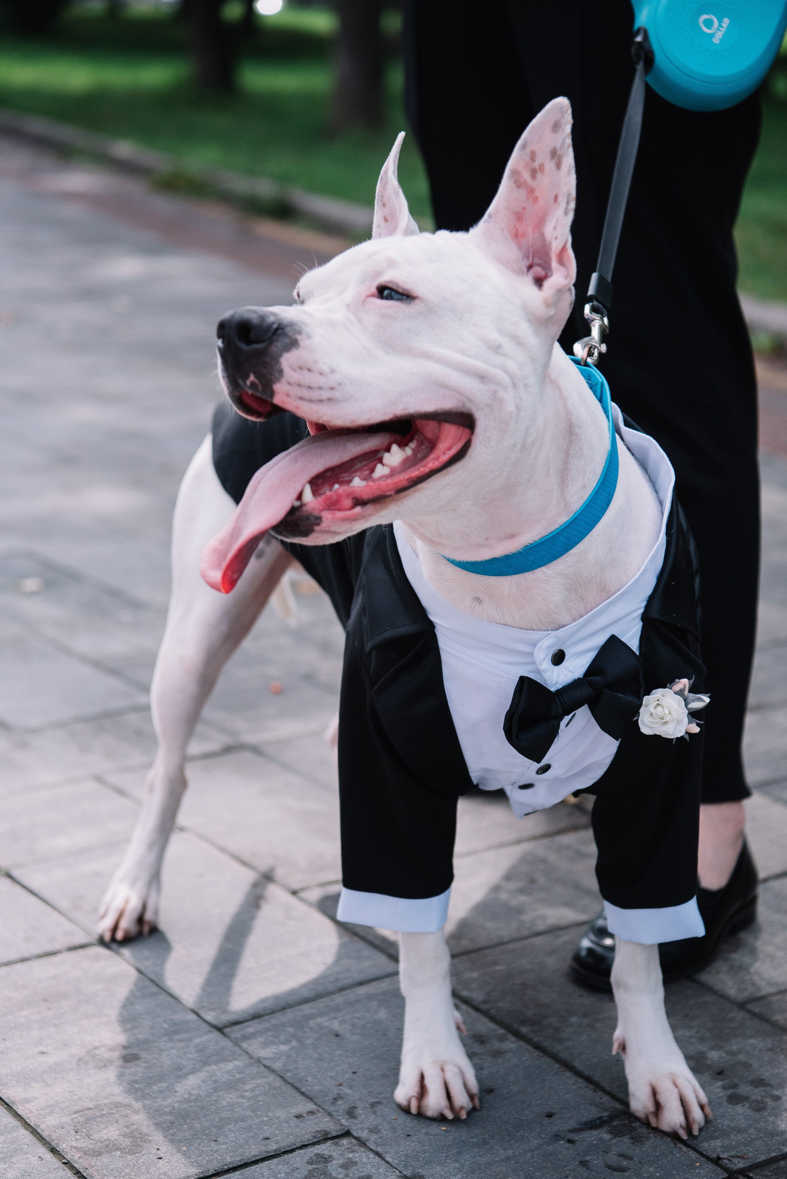 Wedding day. Антон лімов фотограф київ