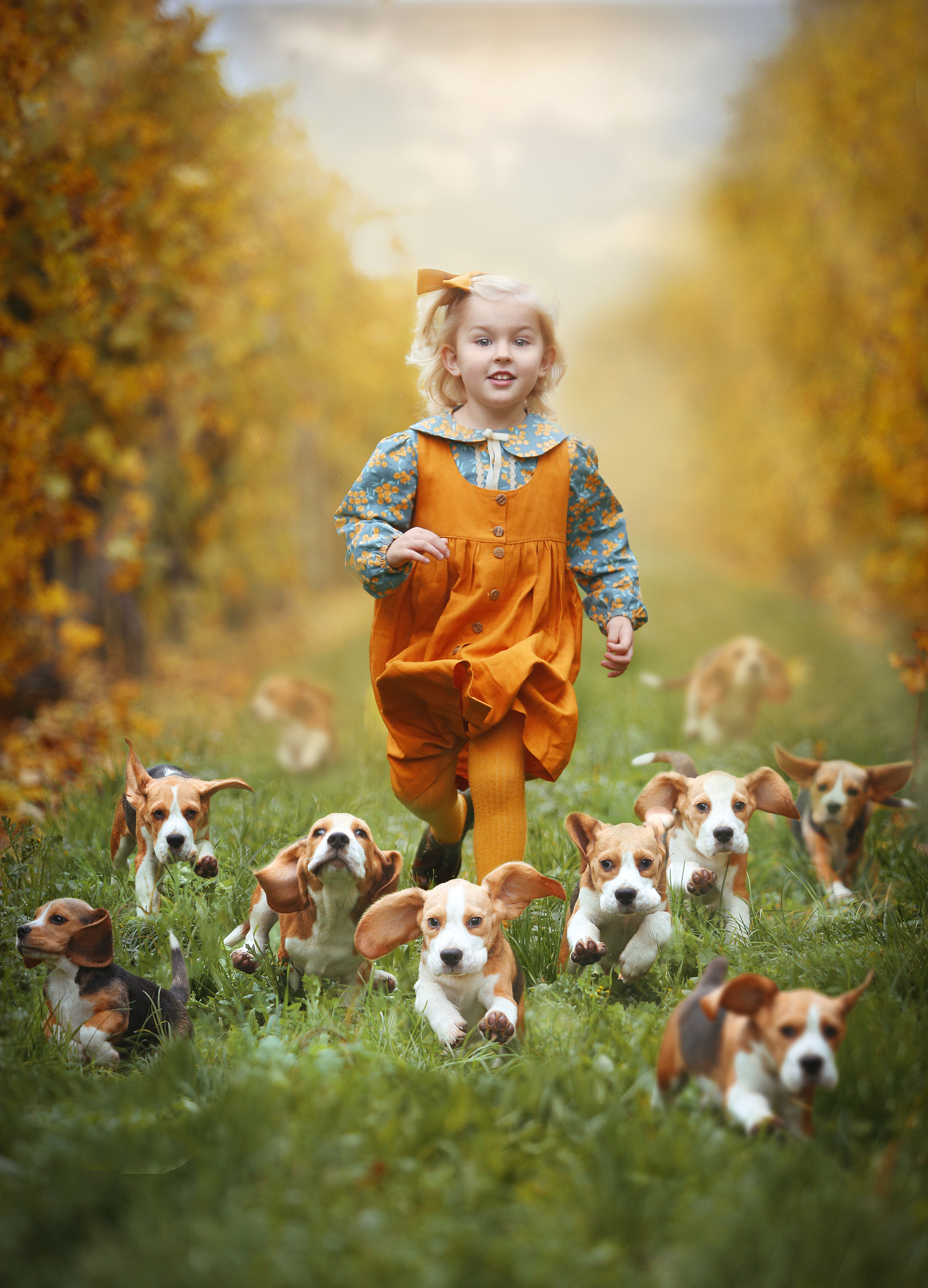 Pets and people. Pet photographer Kateryna Mumzhynska