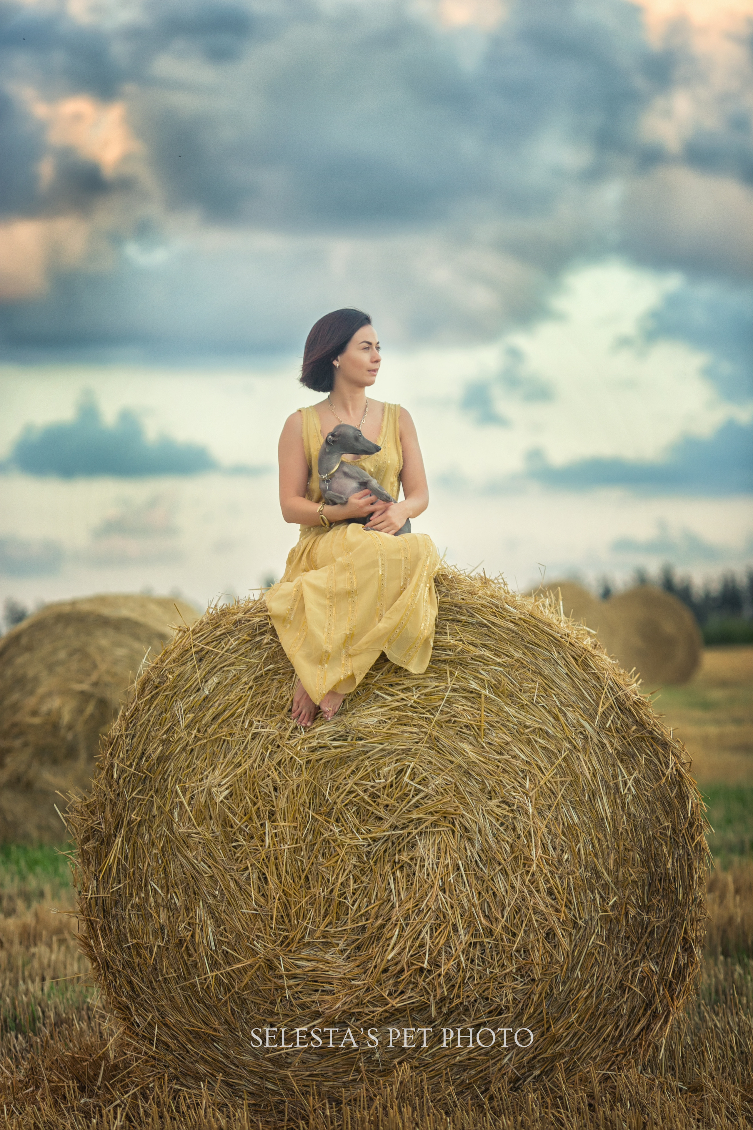 Pets and people. Pet photographer Kateryna Mumzhynska