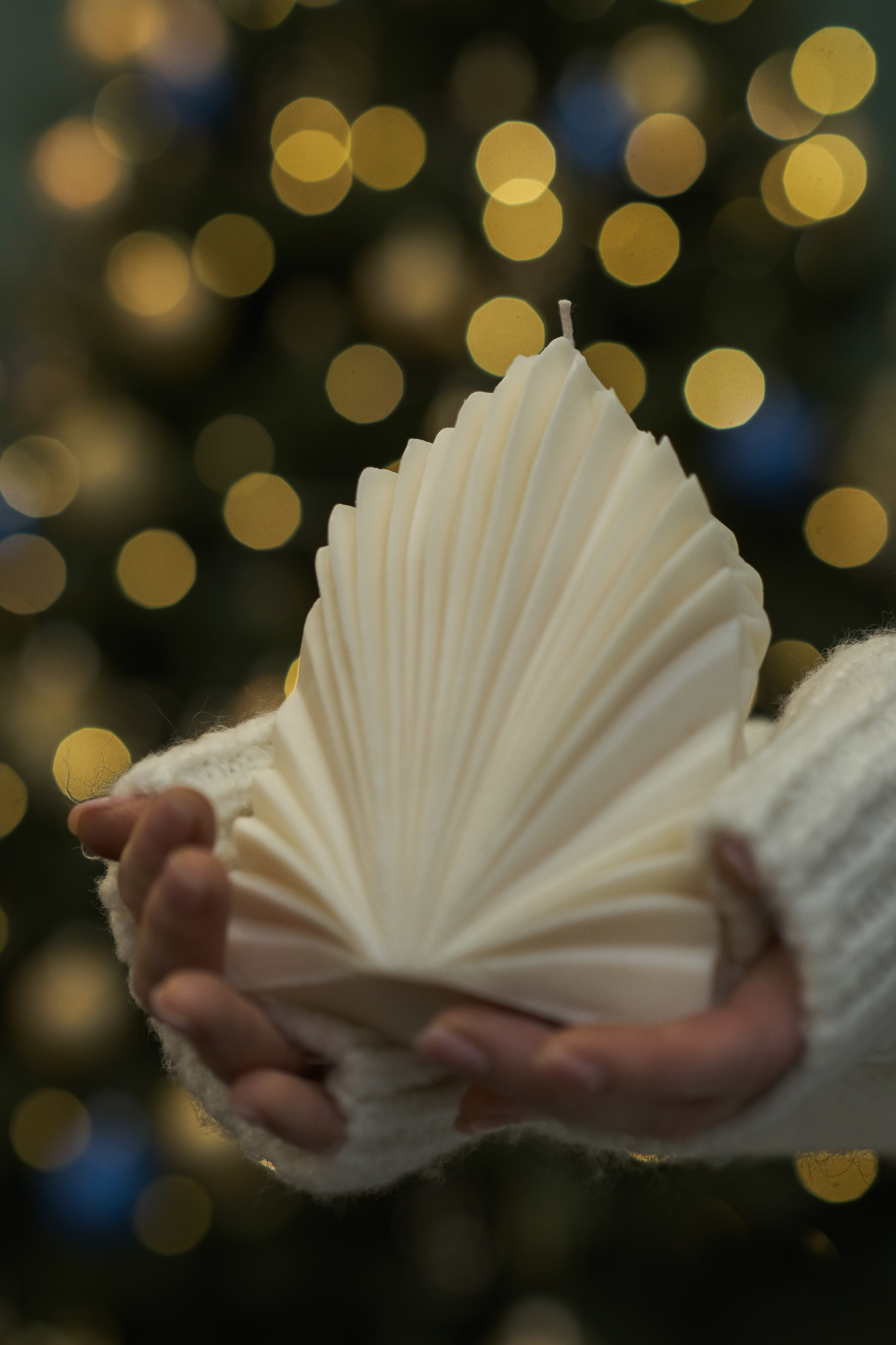 Предметна фотозйомка. Весільна та інші різновиди відеозйомки