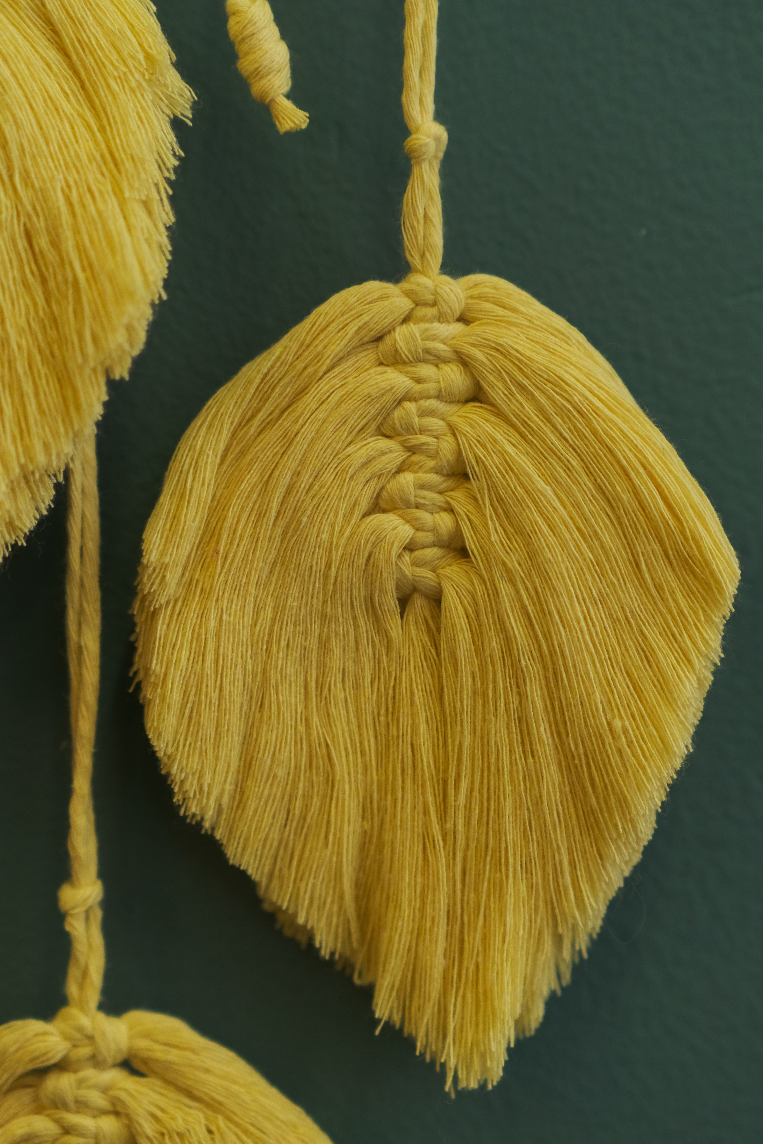 Предметна фотозйомка. Весільна та інші різновиди відеозйомки