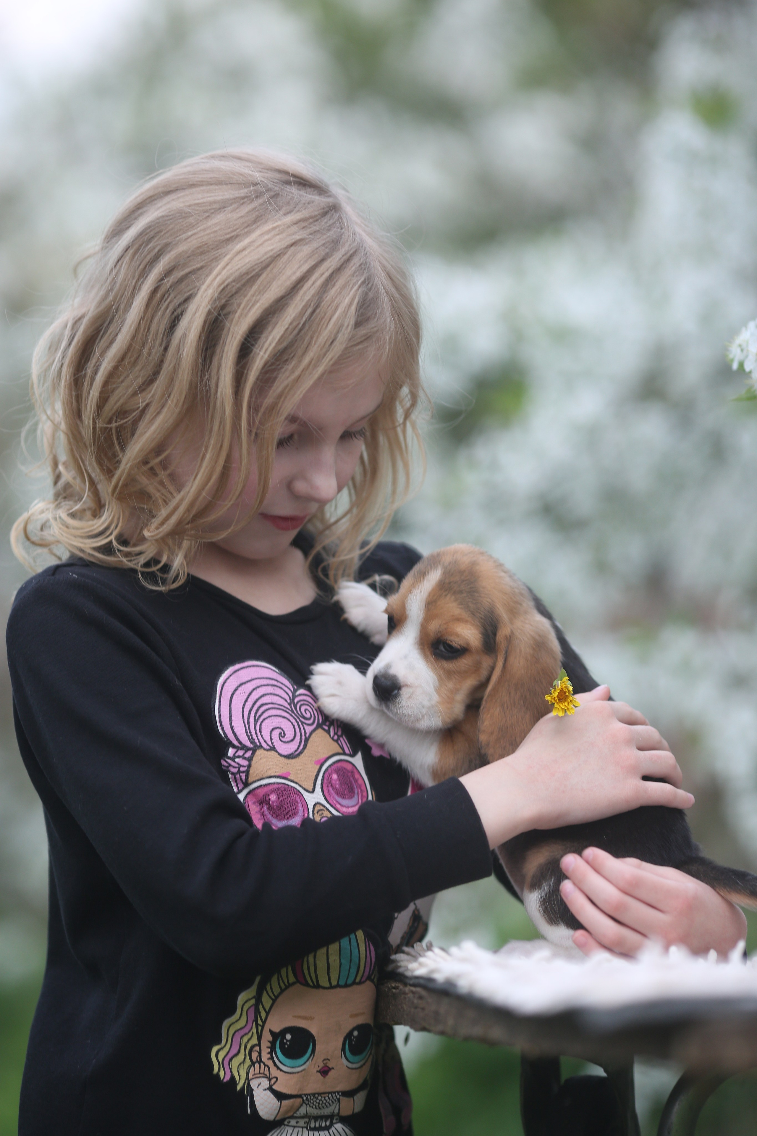 Litter T. Розплідник біглей в Україні