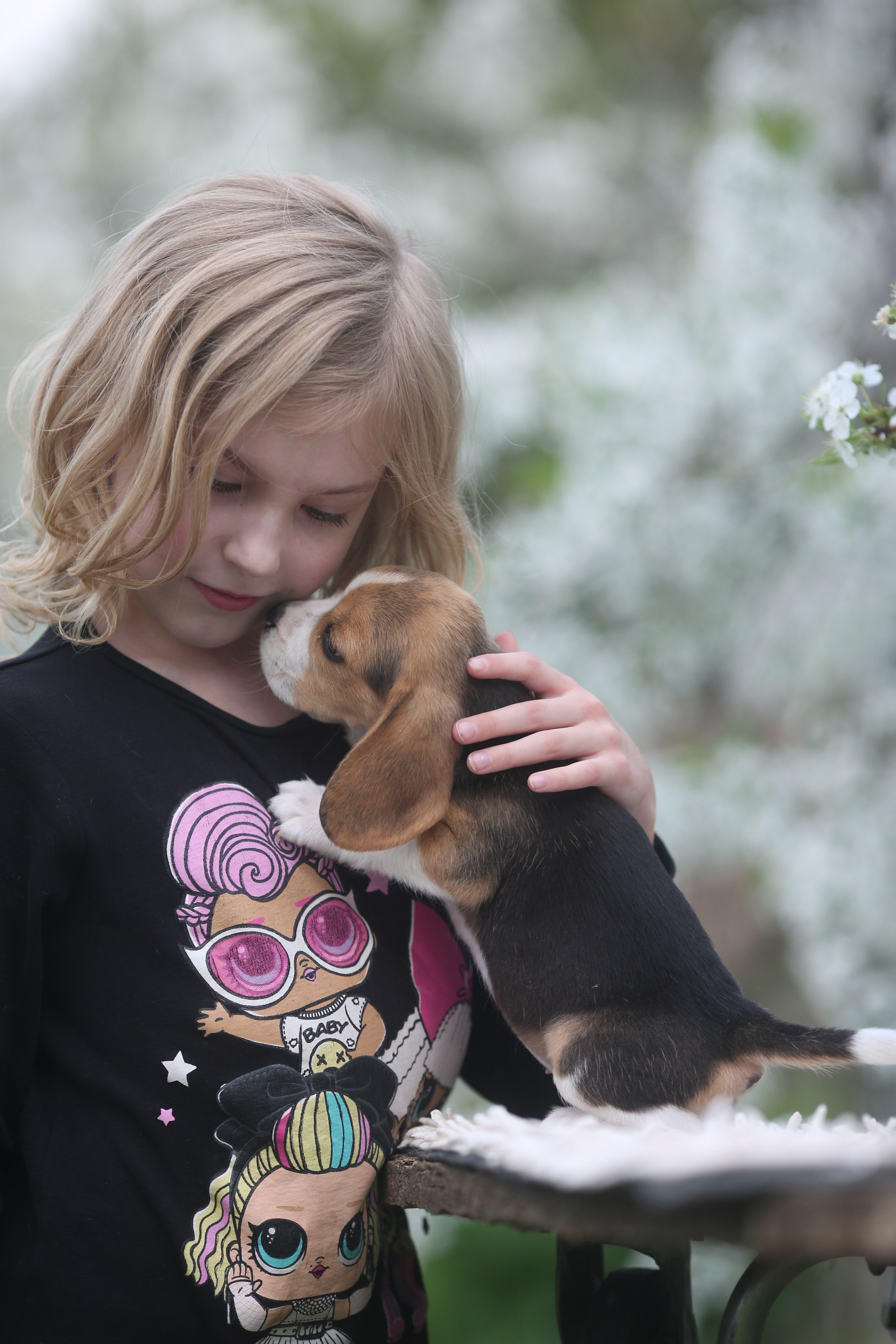 Litter T. Розплідник біглей в Україні