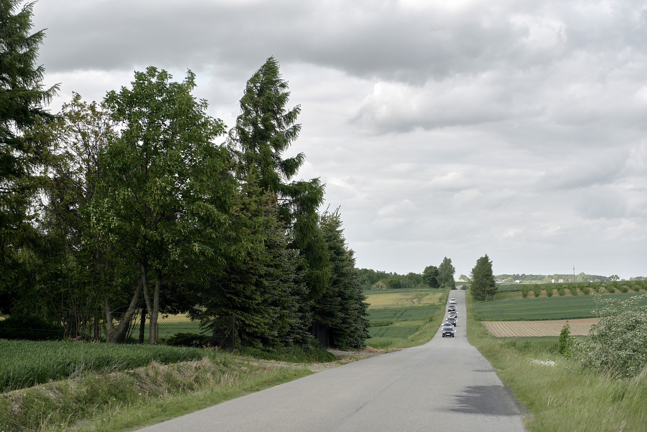 Wiatrowe wesele. NK Picture - Fotograf Lublin, Warszawa