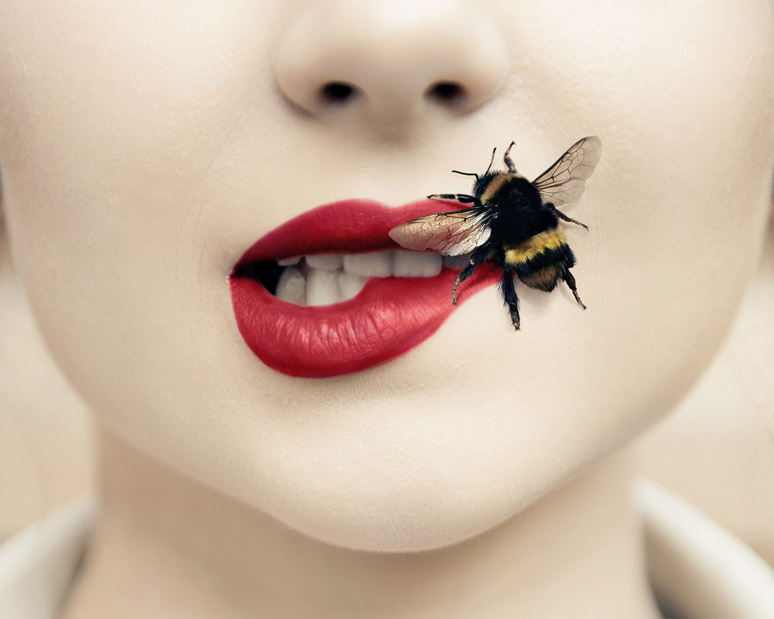 Ogródkowy Fashion. NK Picture - Fotograf Lublin, Warszawa