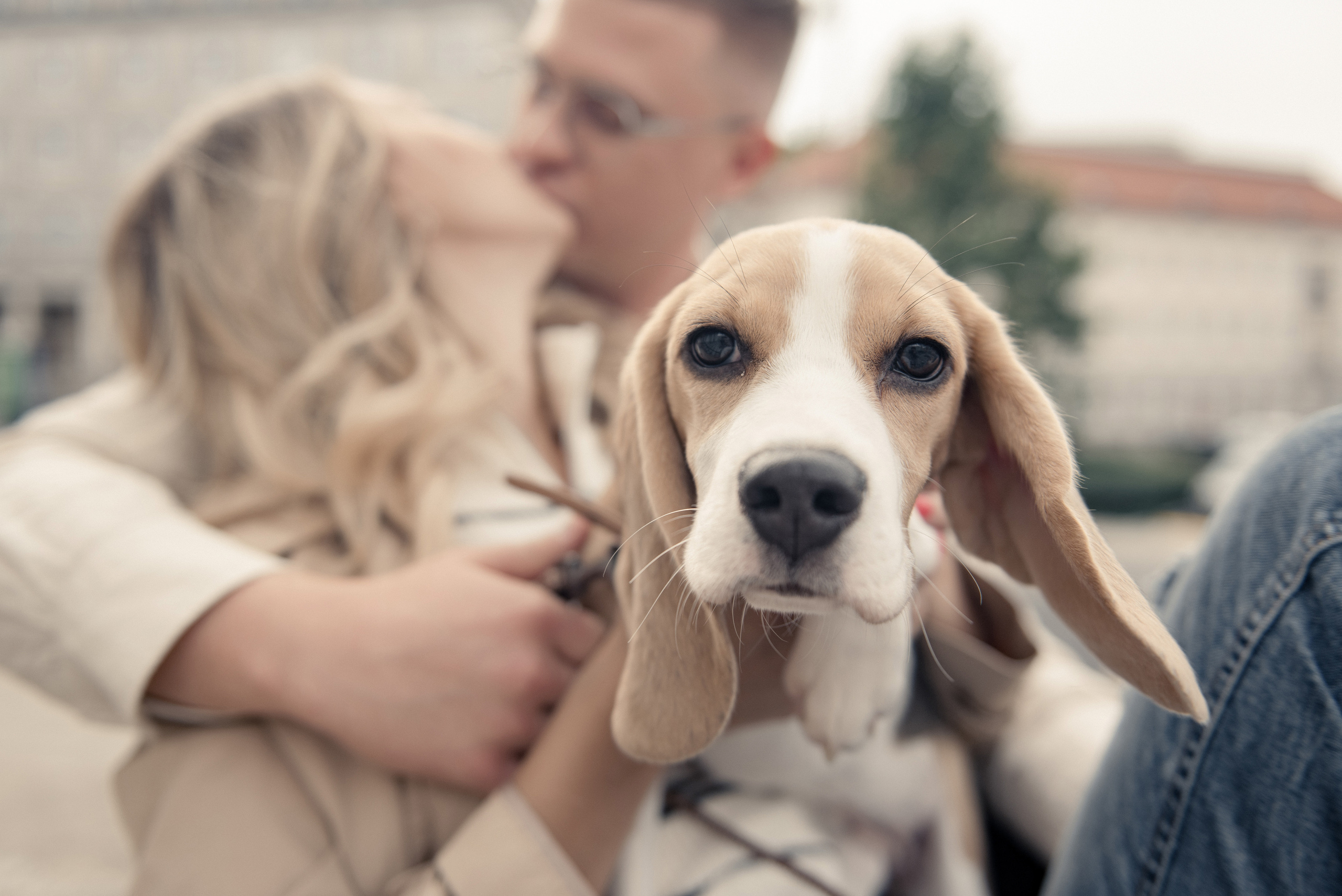 Love Story z pieskiem. NK Picture - Fotograf Lublin, Warszawa