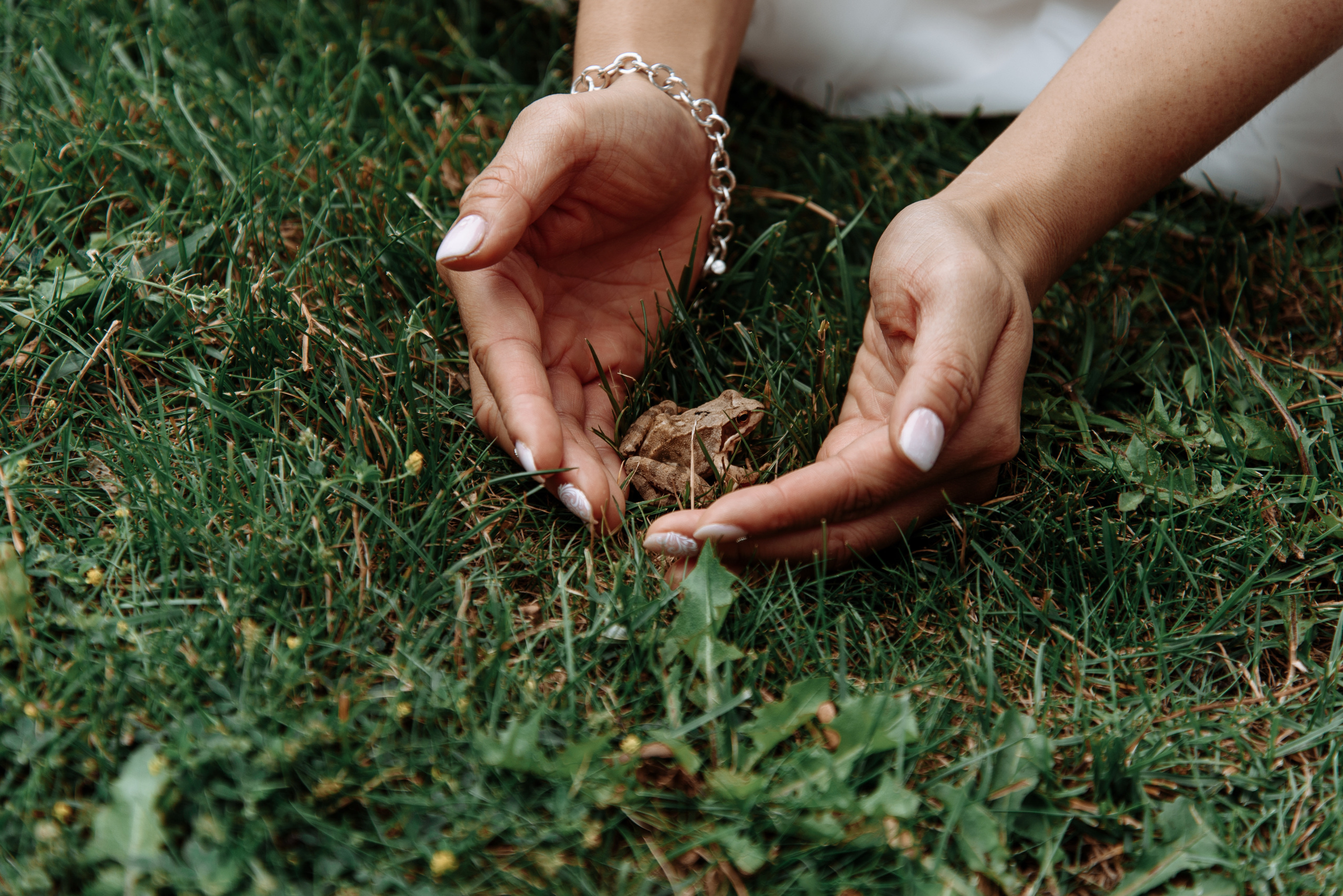 Polsko Amerykańskie tradycje. NK Picture - Fotograf Lublin, Warszawa