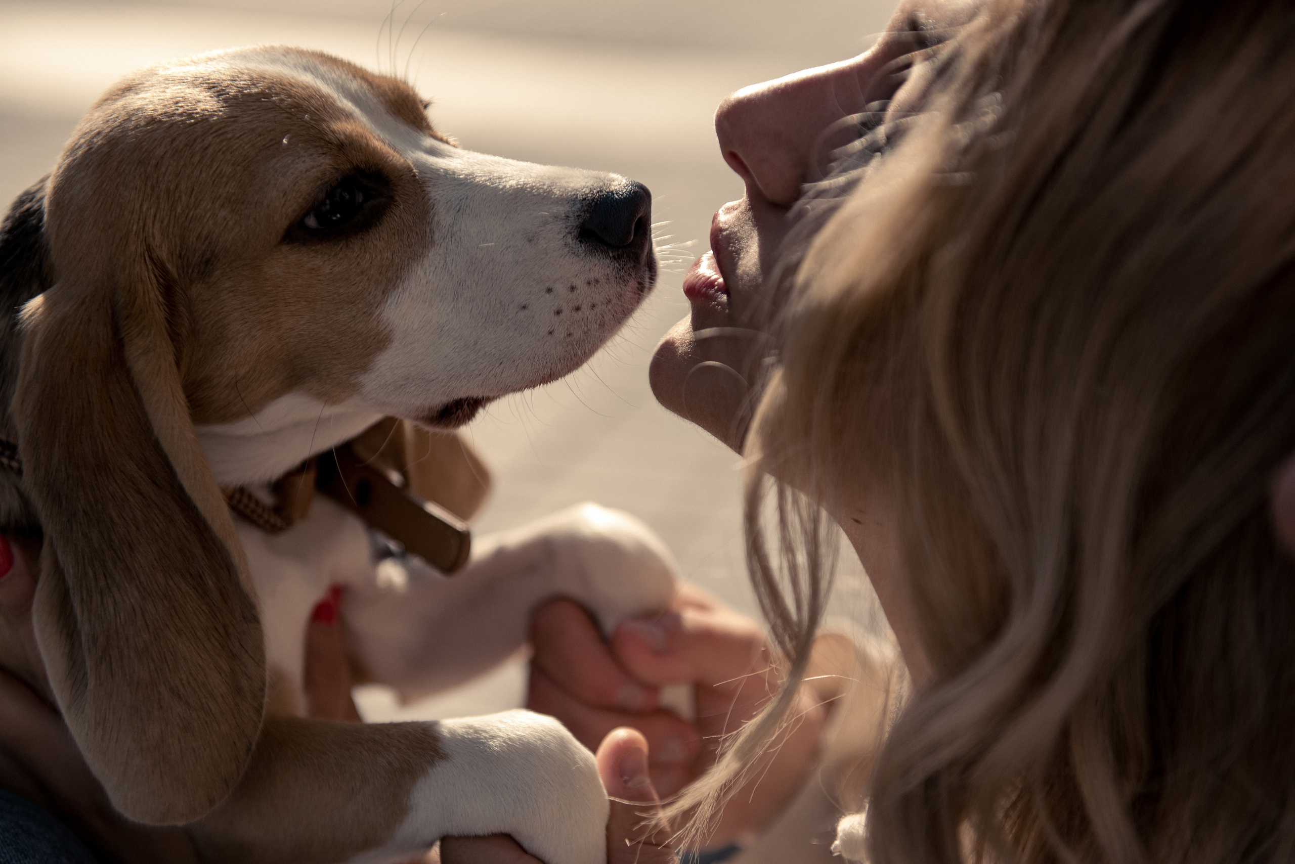 Love Story z pieskiem. NK Picture - Fotograf Lublin, Warszawa