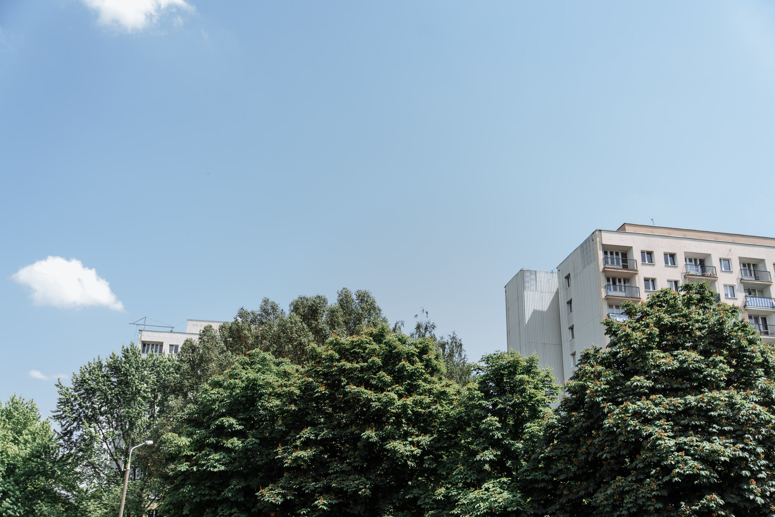 Wesele w Golf & Country Club. NK Picture - Fotograf Lublin, Warszawa