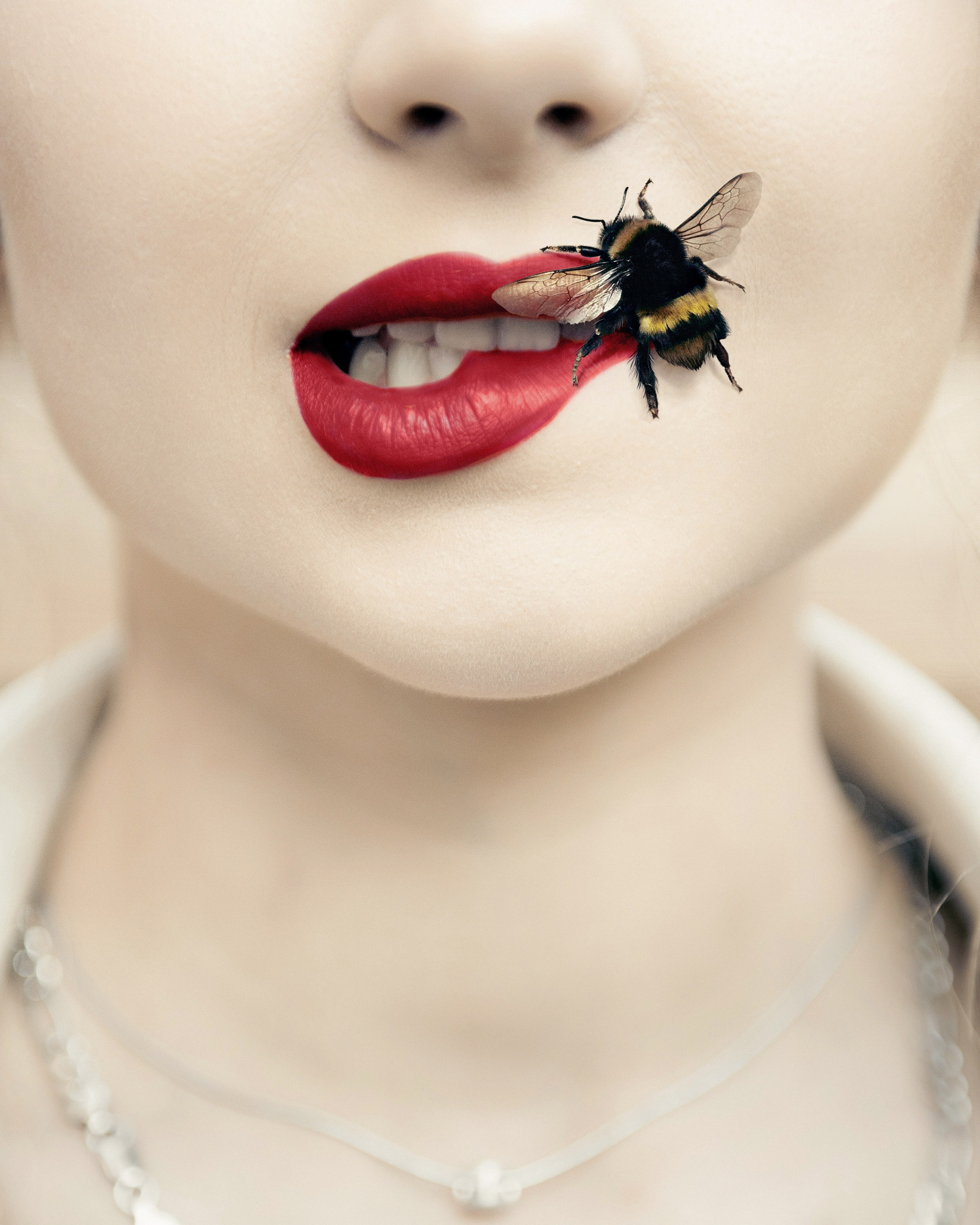 Ogródkowy Fashion. NK Picture - Fotograf Lublin, Warszawa