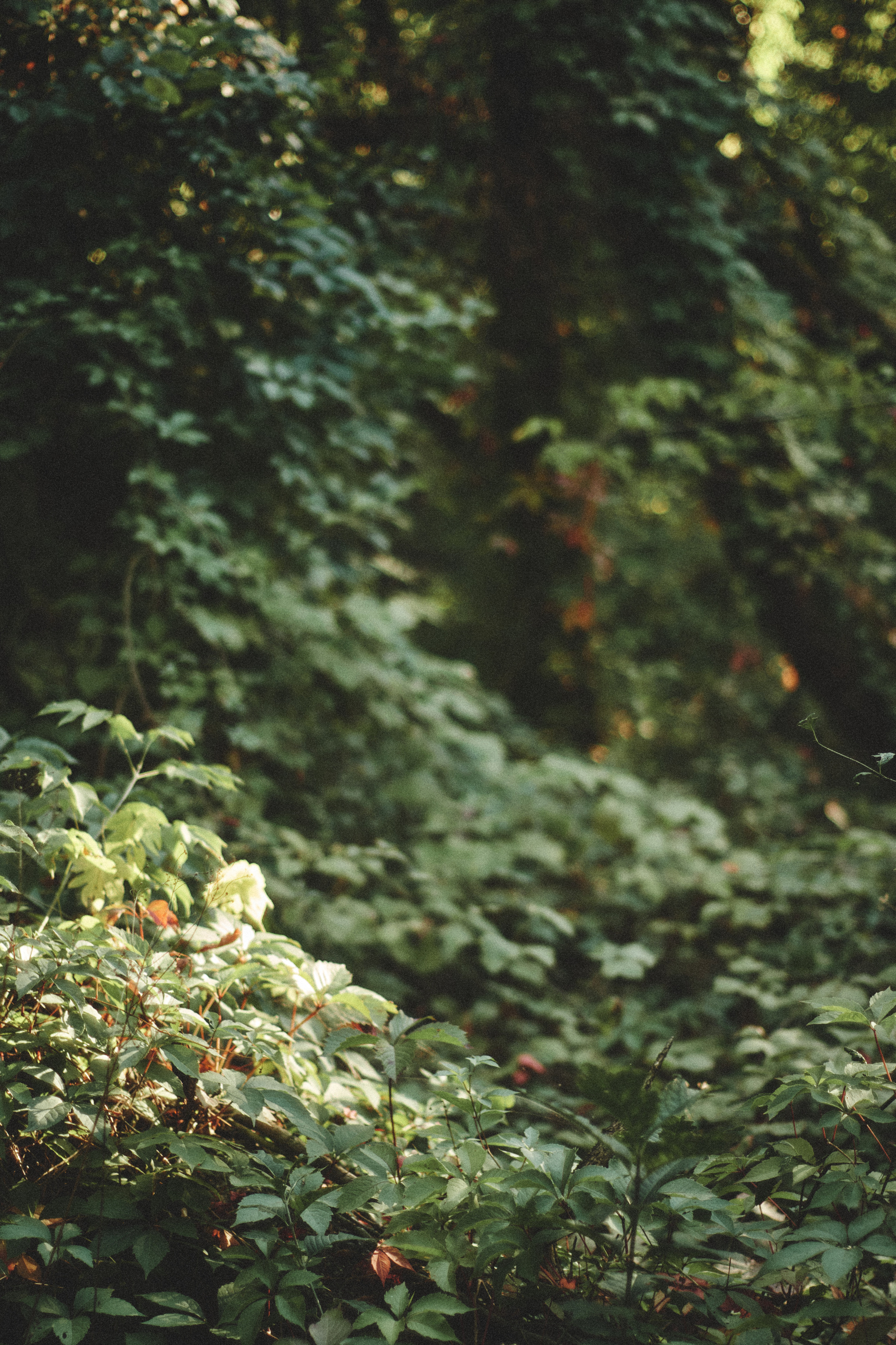 Дарьян. Фотограф Евгений Хиль | Львов Киев Днепр | Eugene Hill | Yevhenii Khil