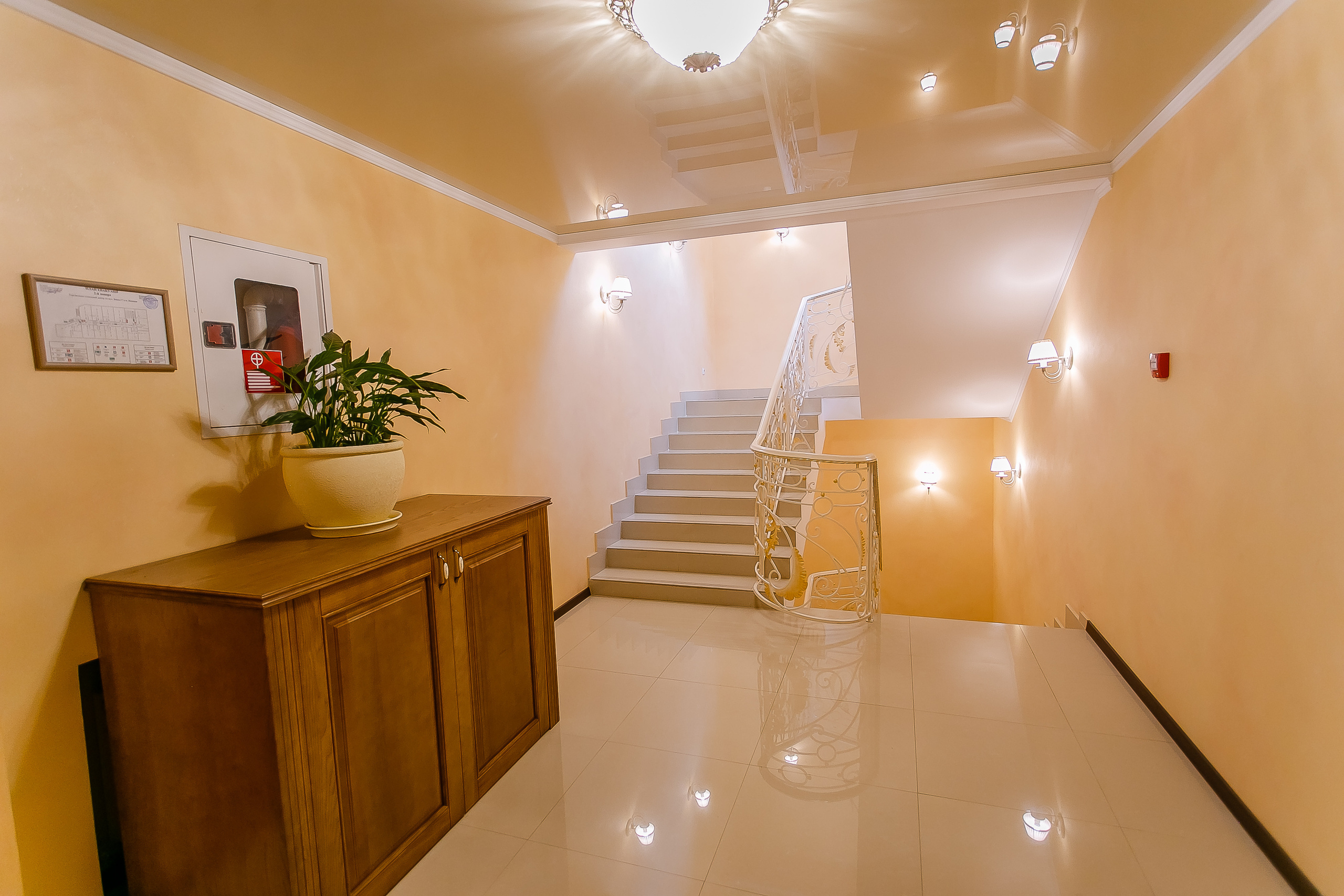 Аристократ. Олег Мельник Фотограф Винница