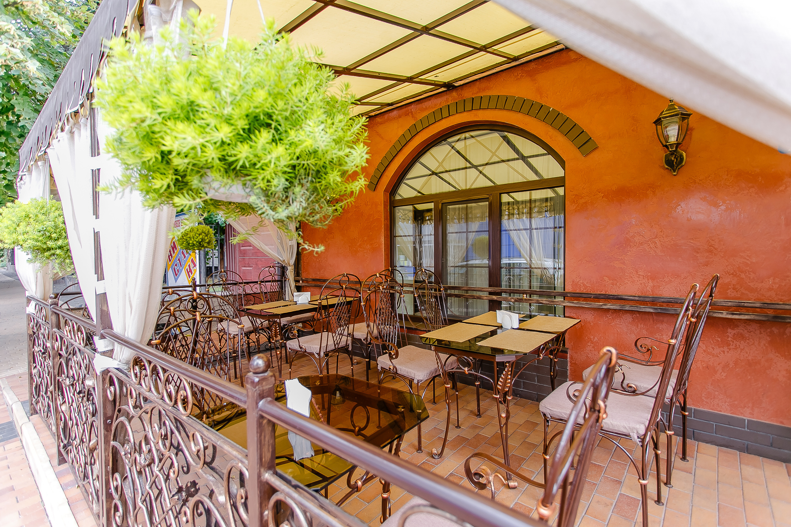 Аристократ. Олег Мельник Фотограф Винница