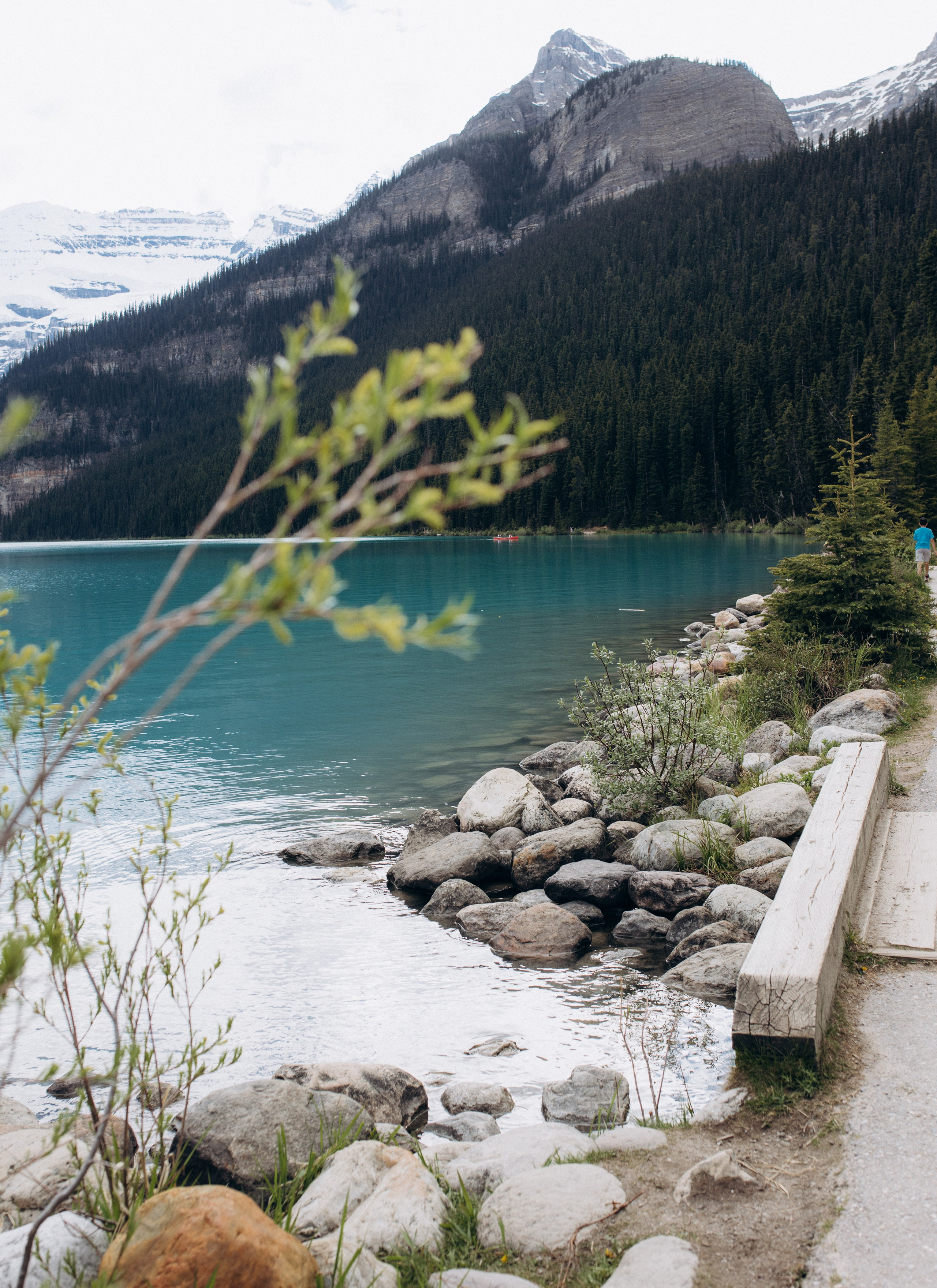 Olha & Ali. Wedding and family photographer in Calgary