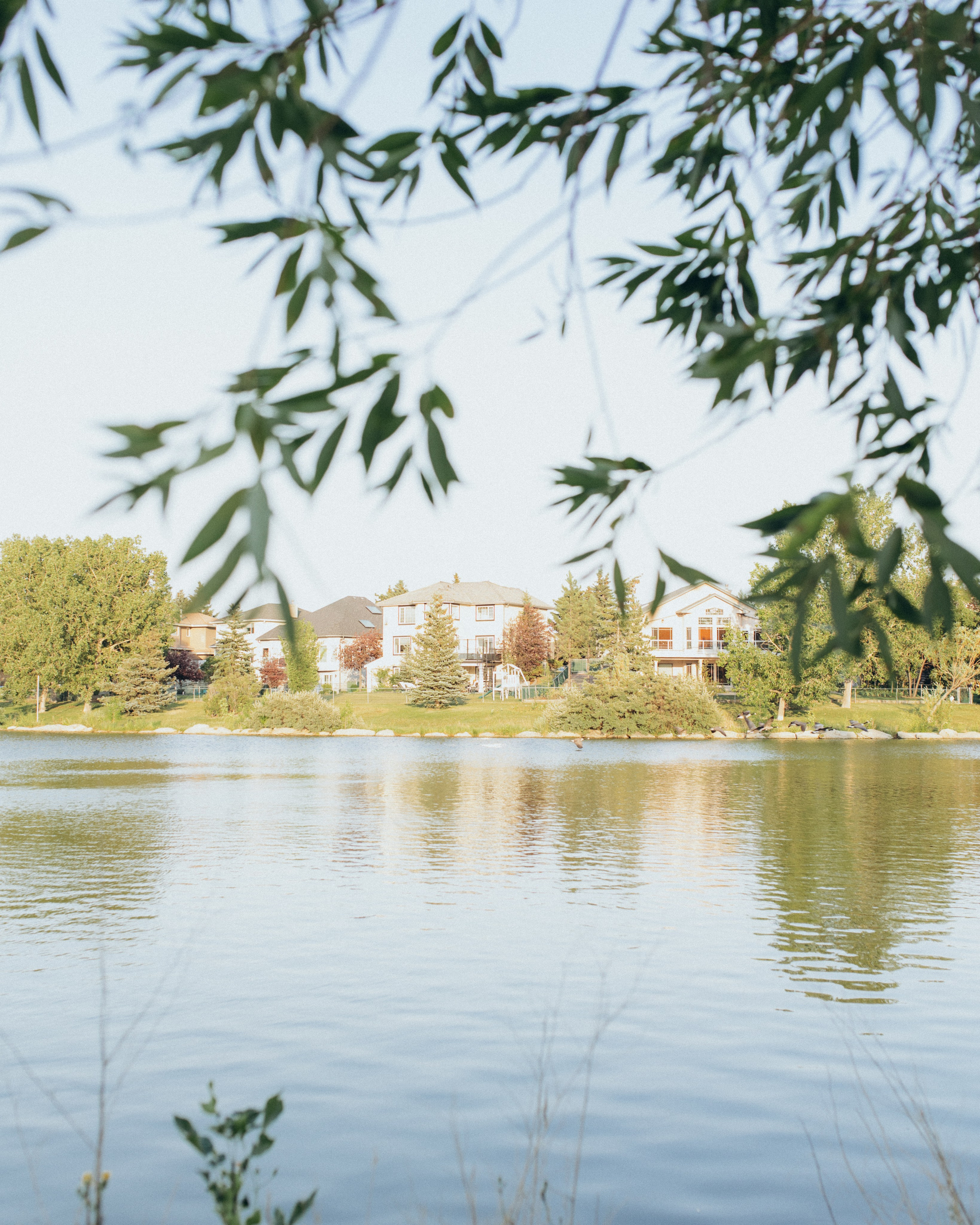 …. Wedding and family photographer in Calgary