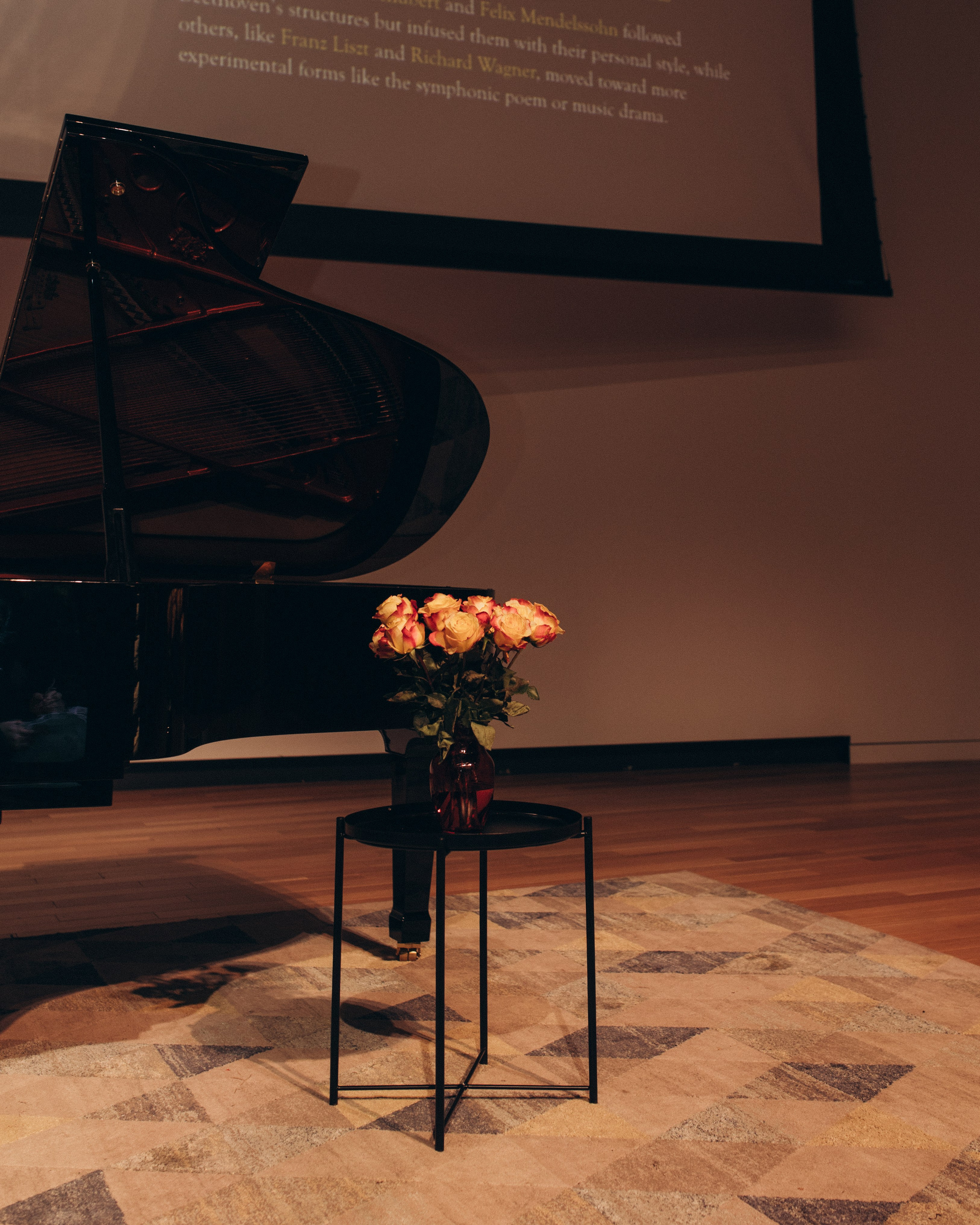 Concert Photography — Music, Light, and Emotion. Wedding and family photographer in Calgary