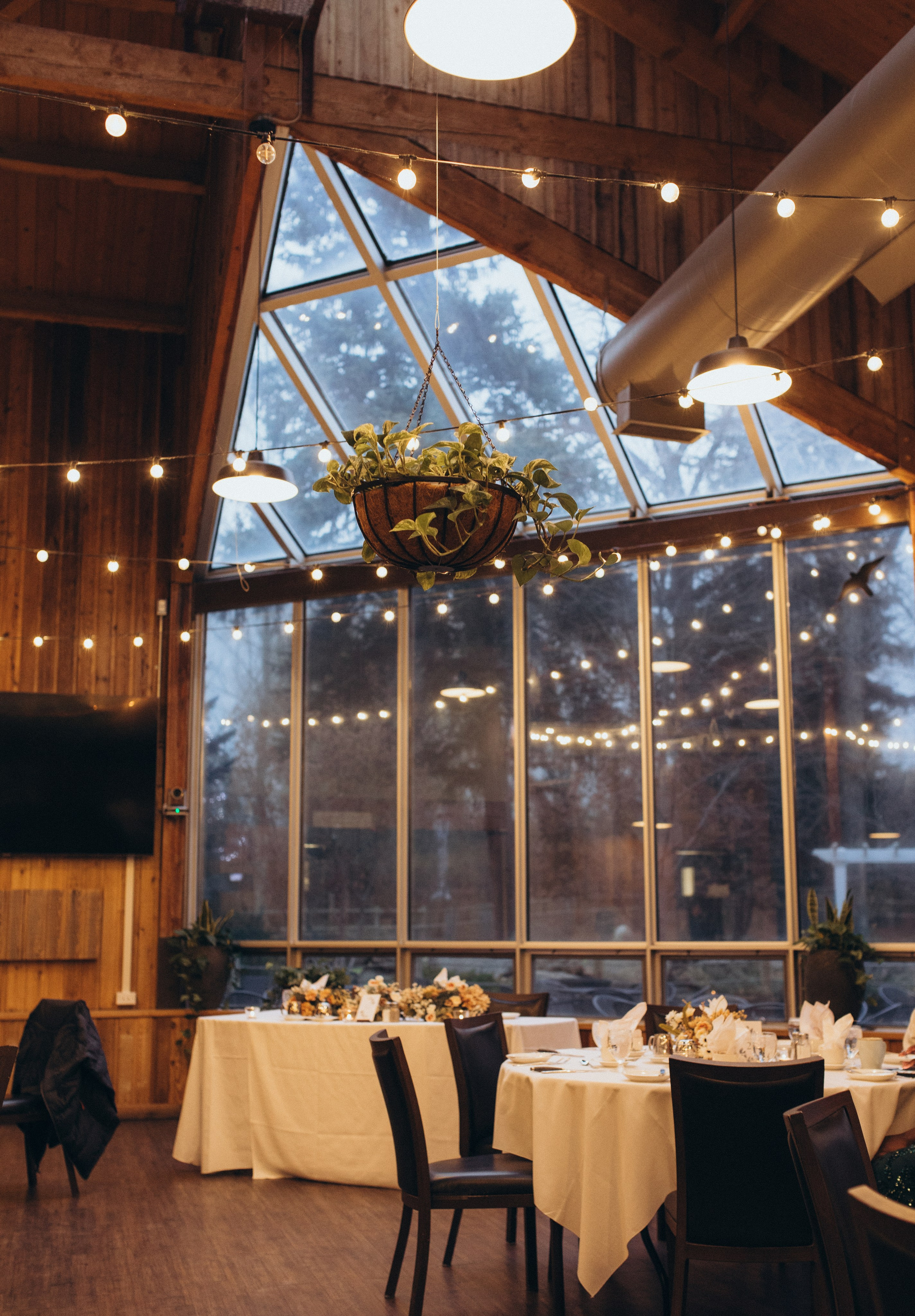 Matilda & Derek. Wedding and family photographer in Calgary