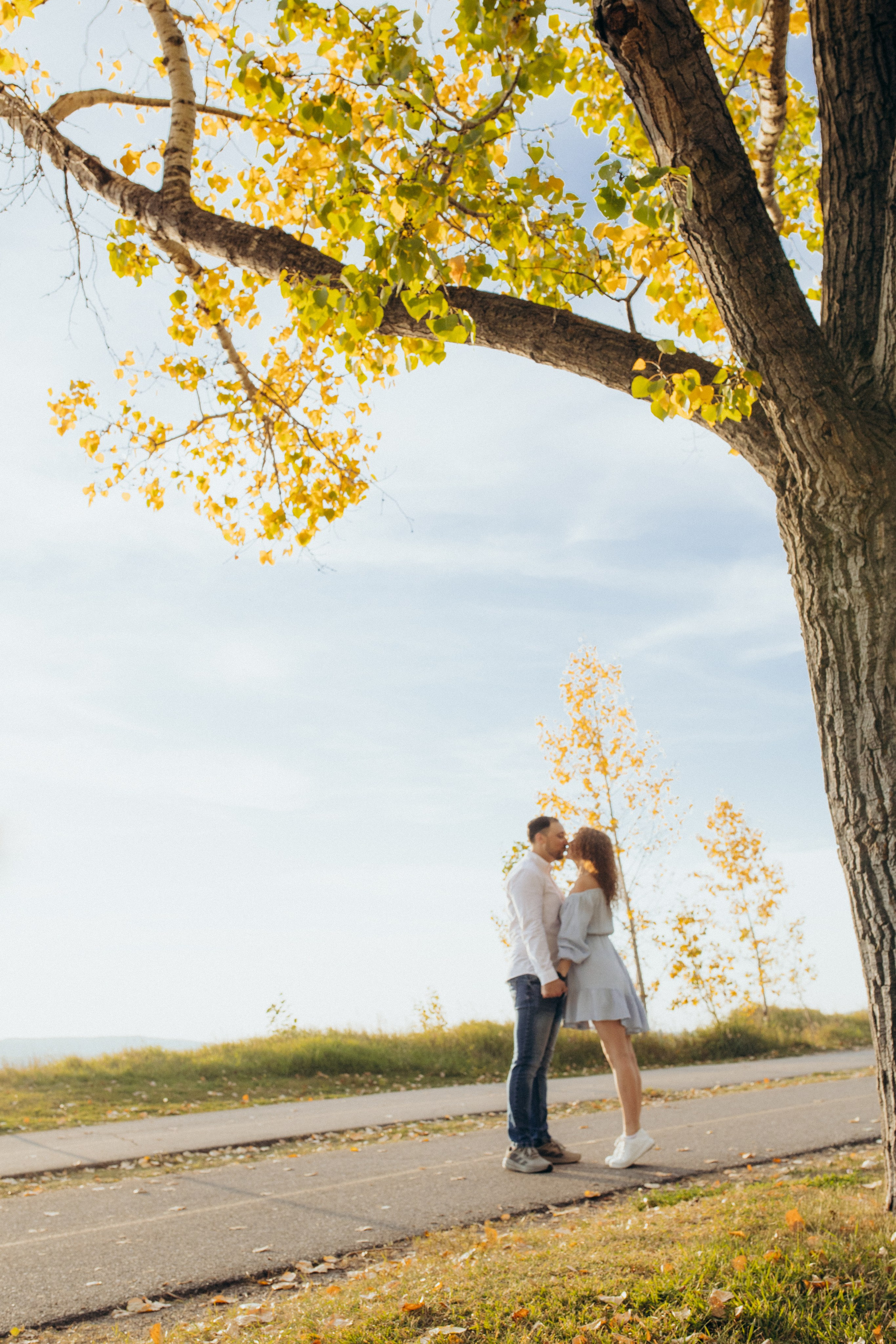 Autumn, Love Story. Wedding and family photographer in Calgary