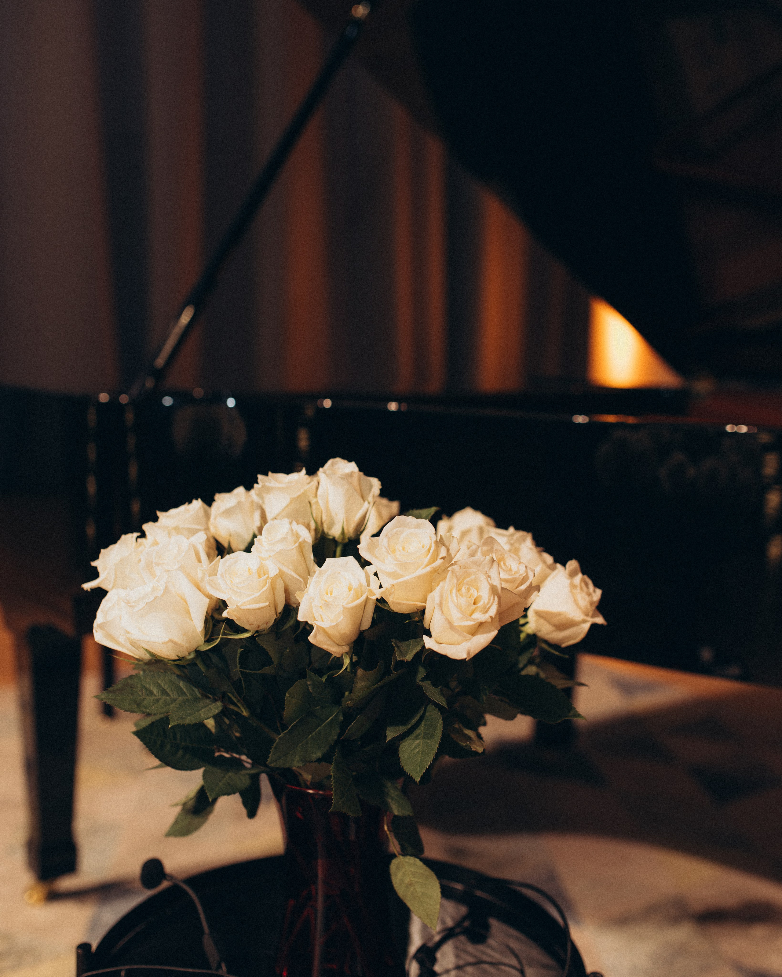 Concert Photography — Music, Light, and Emotion. Wedding and family photographer in Calgary