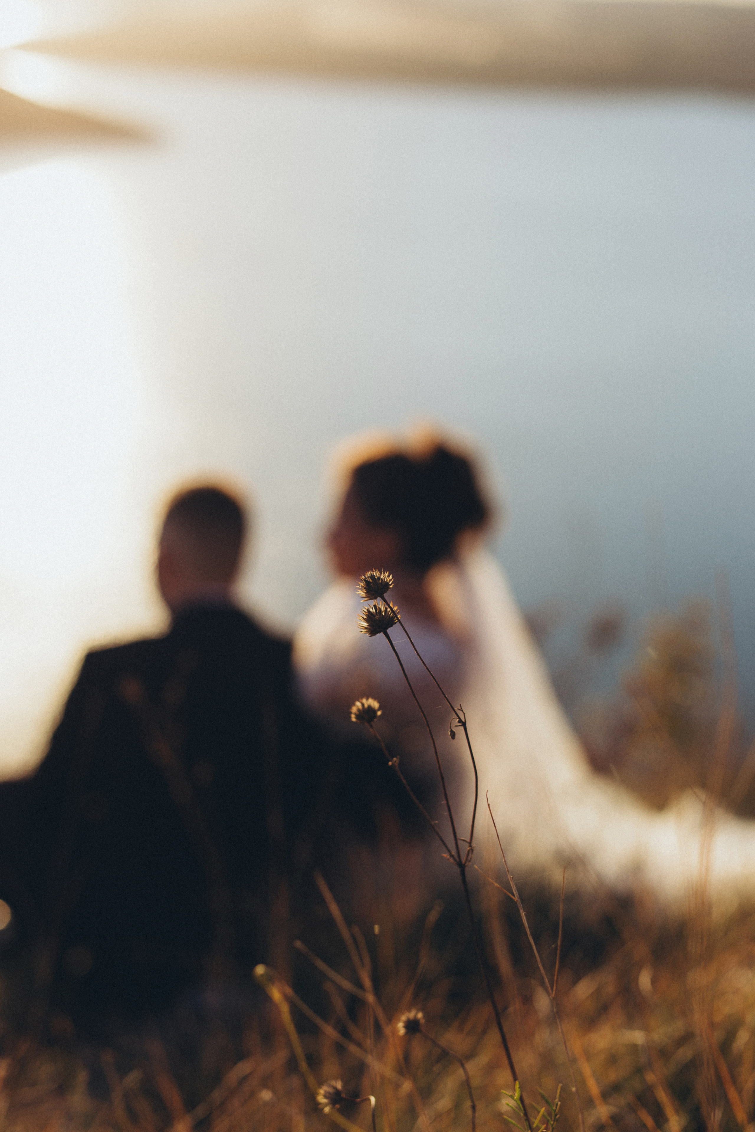 Natasha and Valik. Wedding and family photographer in Calgary