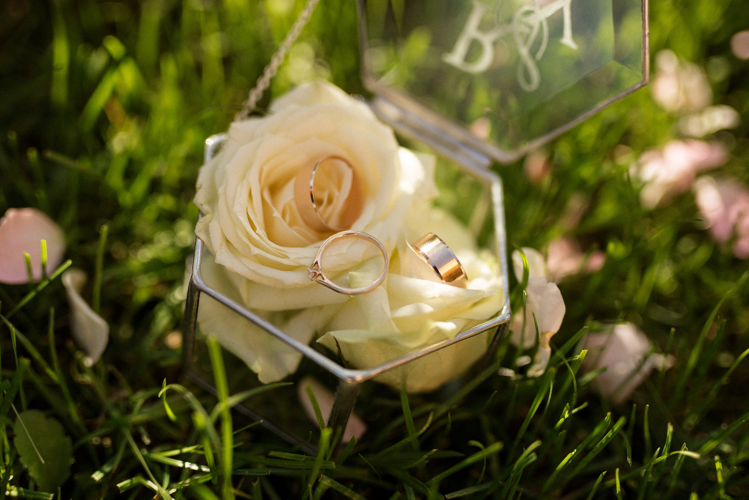 Yana and Roman. Wedding and family photographer in Calgary