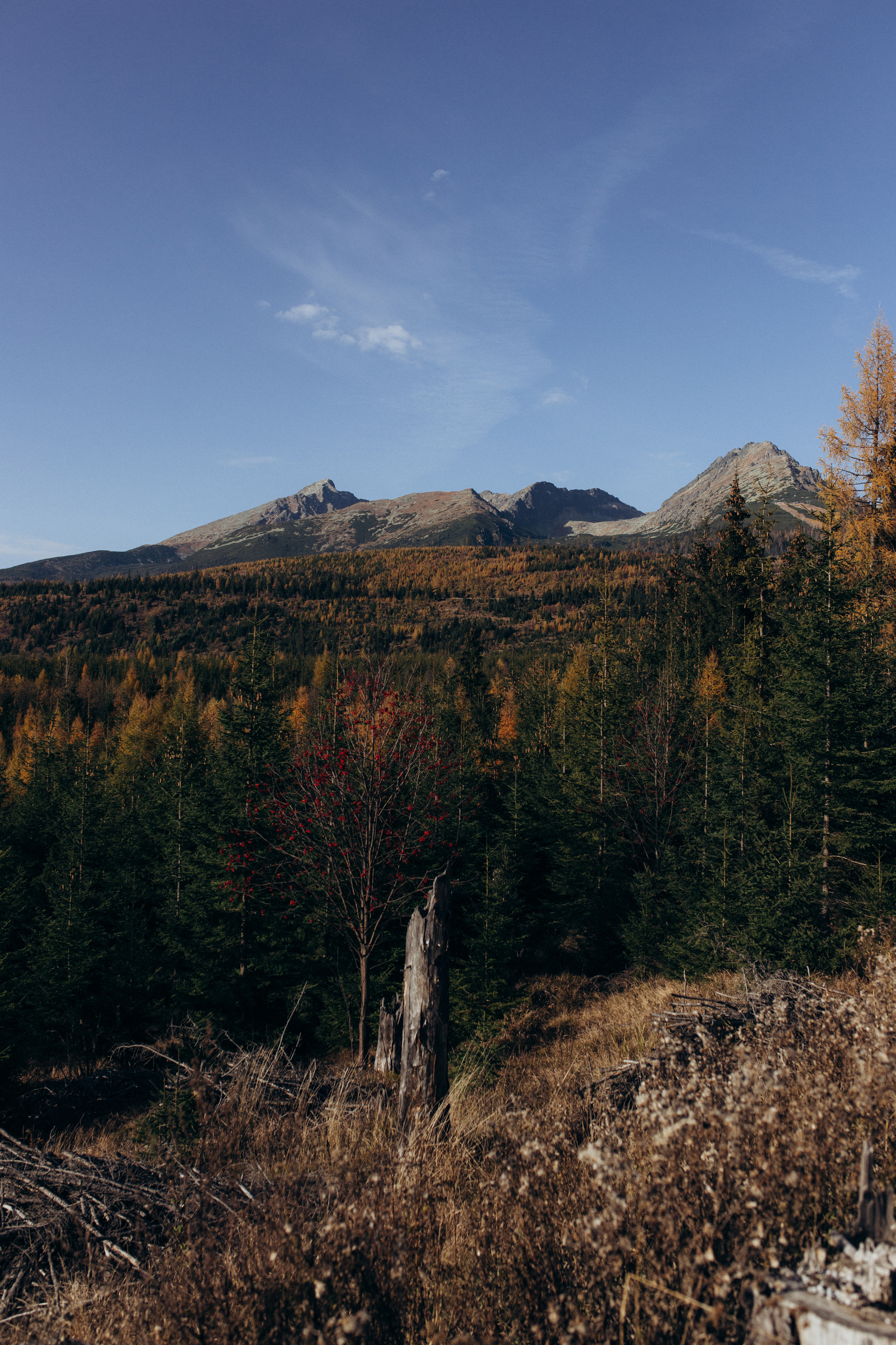 Family story, Poprad. Wedding and family photographer in Calgary