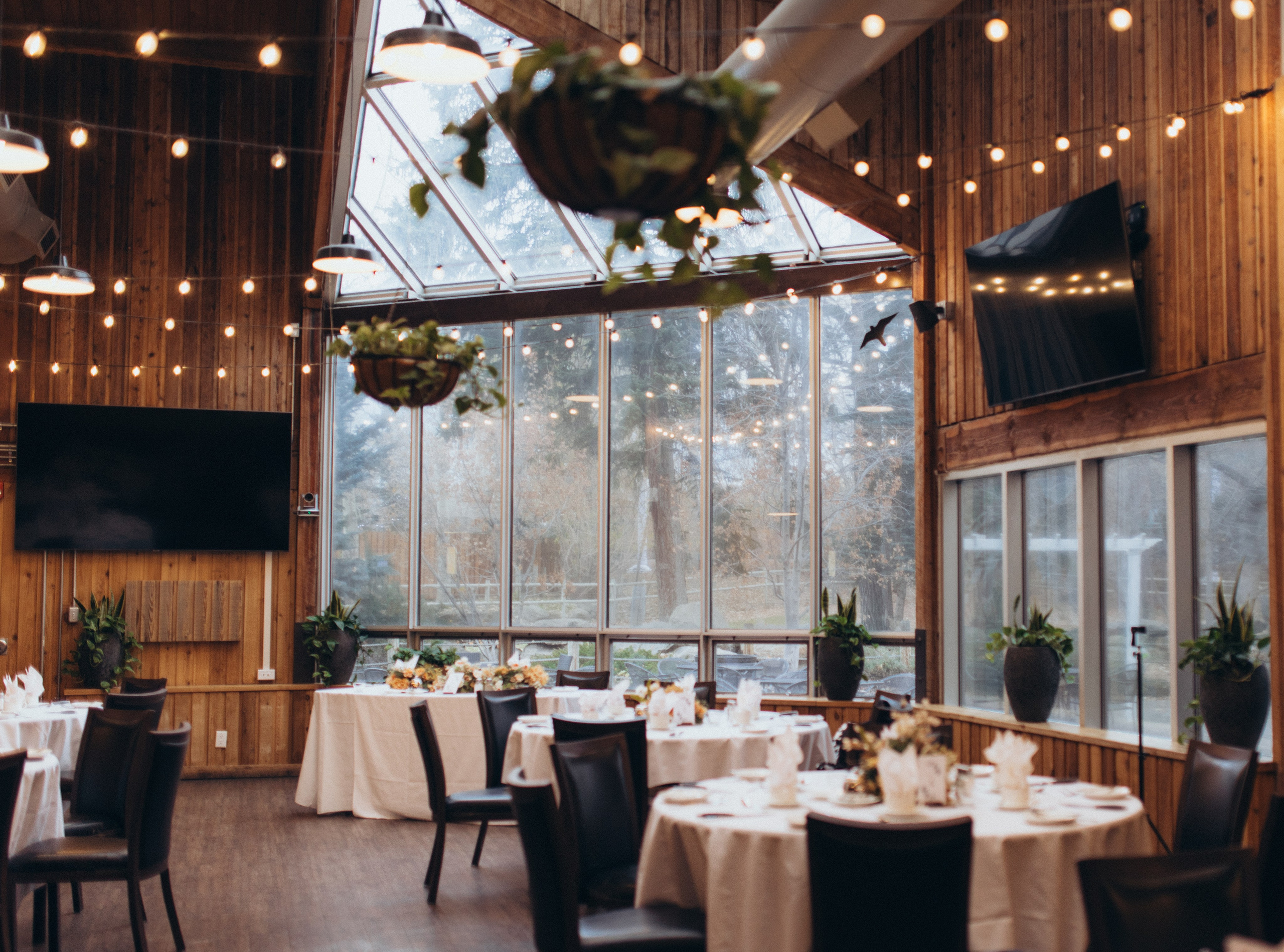 Matilda & Derek. Wedding and family photographer in Calgary