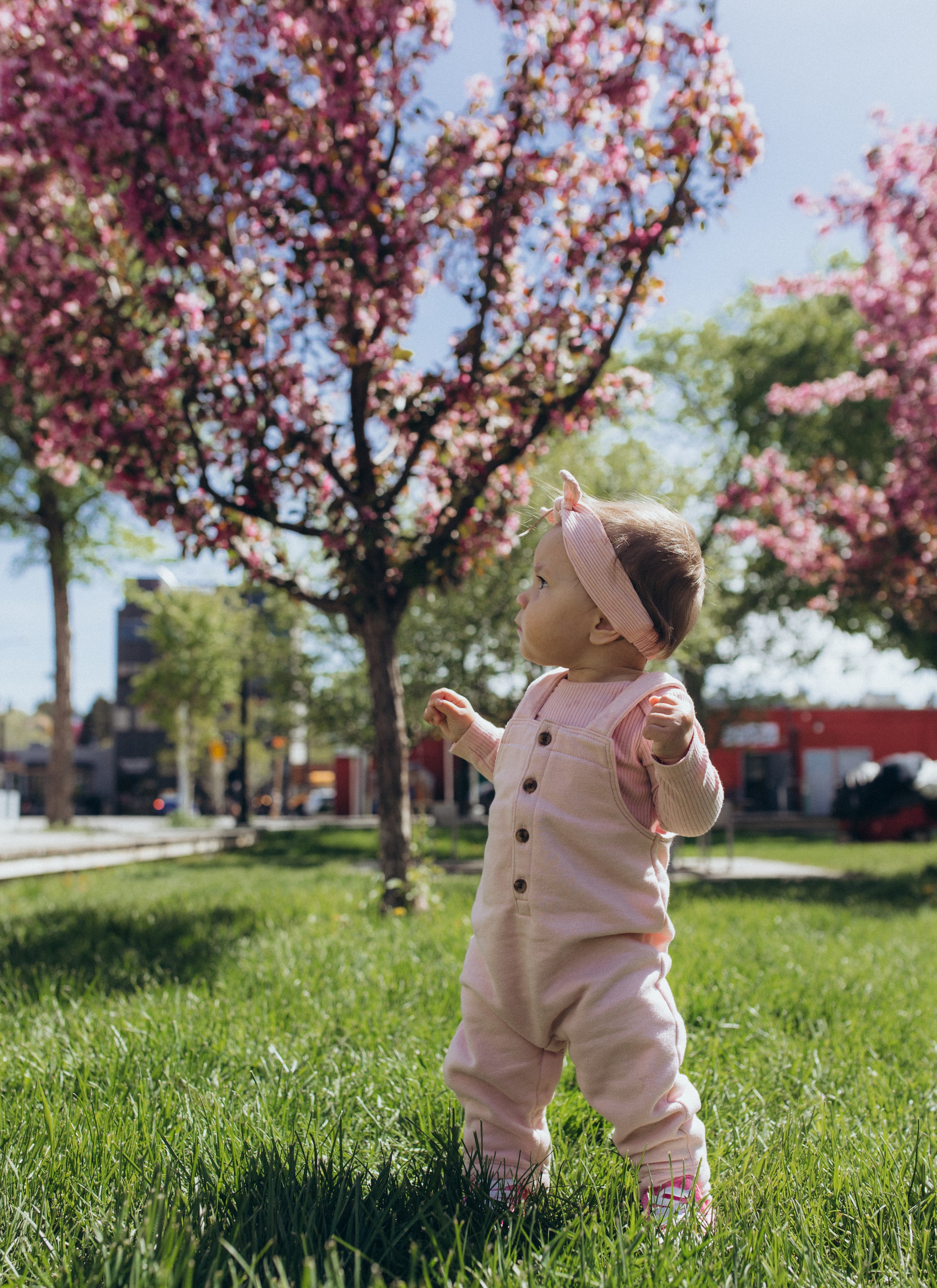 Family spring. Wedding and family photographer in Calgary