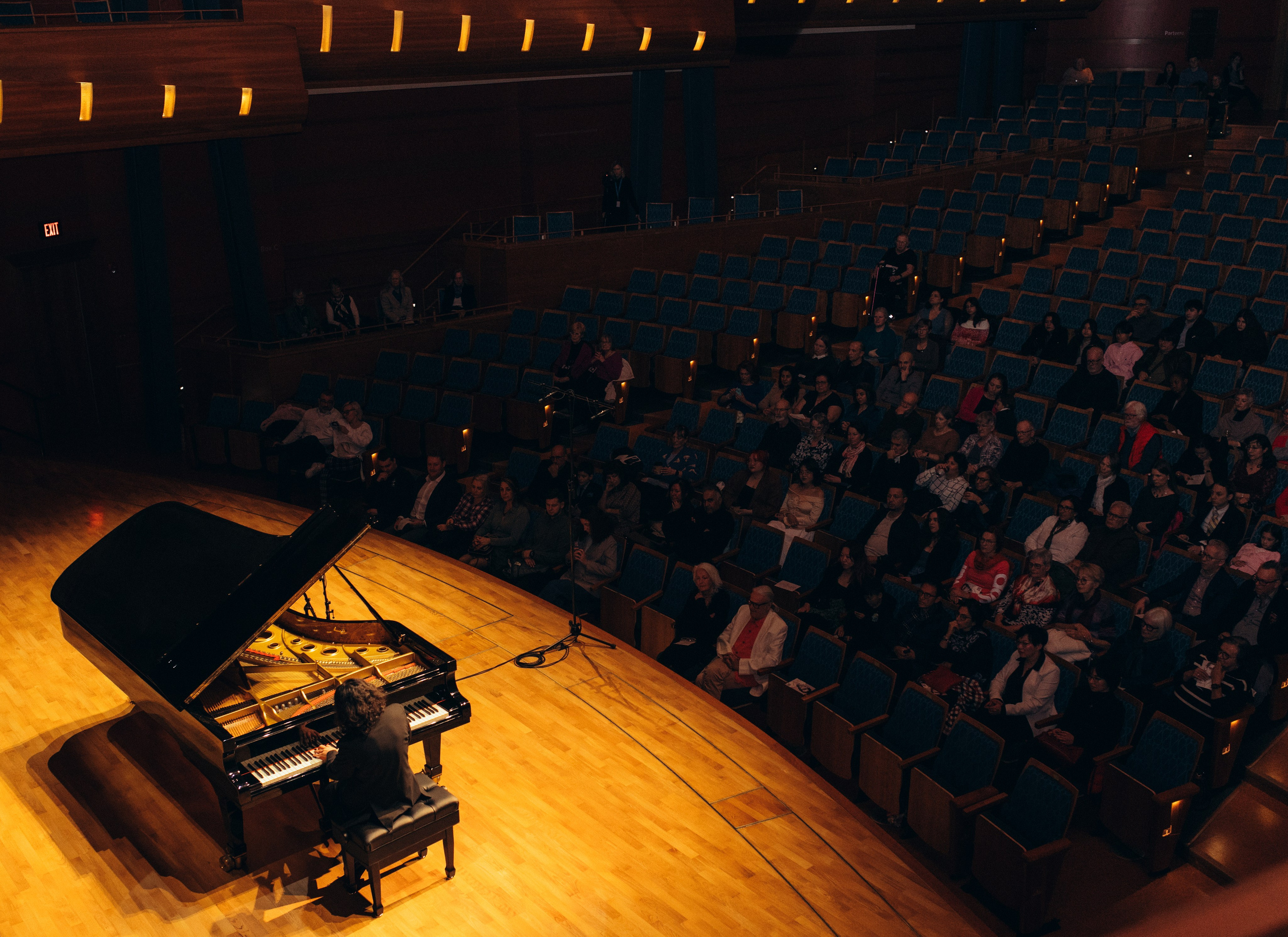 Concert Photography — Music, Light, and Emotion. Wedding and family photographer in Calgary